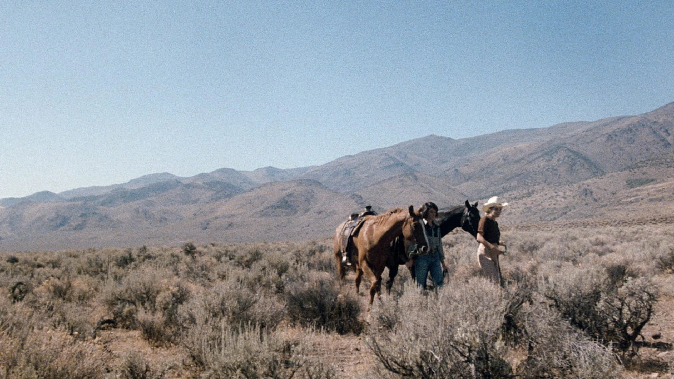 Women in Love: Helen Shaver and Patricia Charbonneau on Desert Hearts
