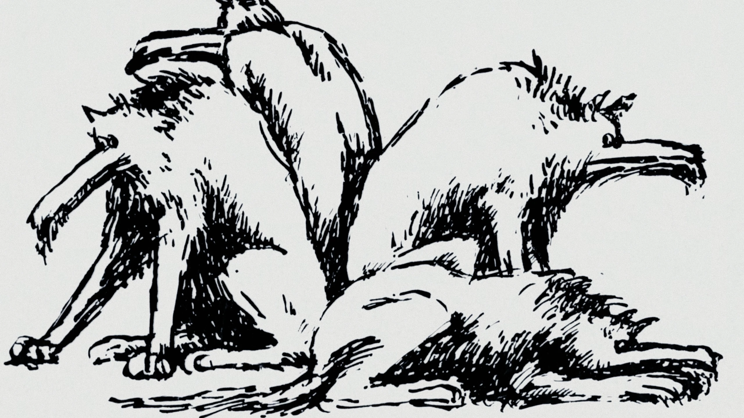 Lykantropia