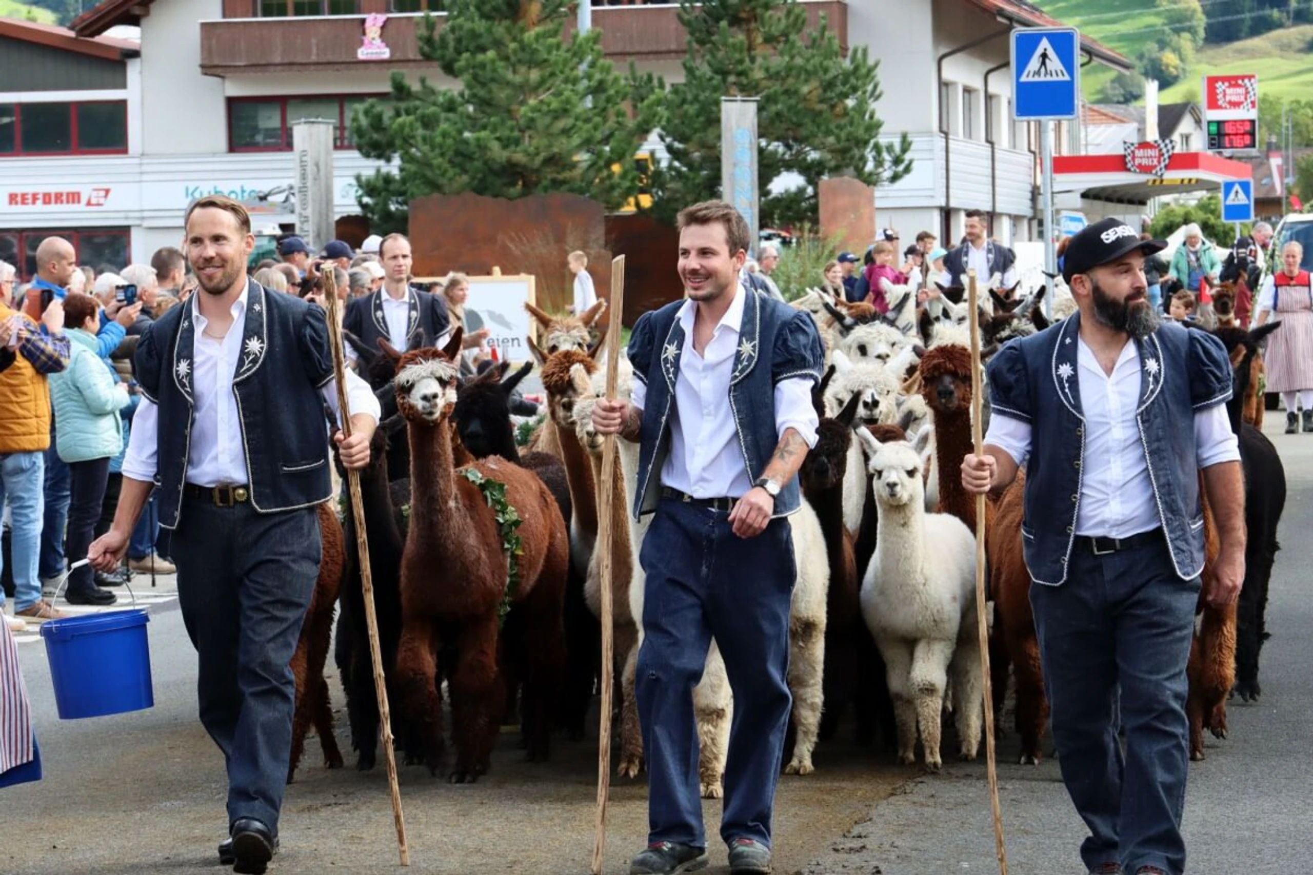 Die Alpabzüge finden im Spätsommer und frühen Herbst statt