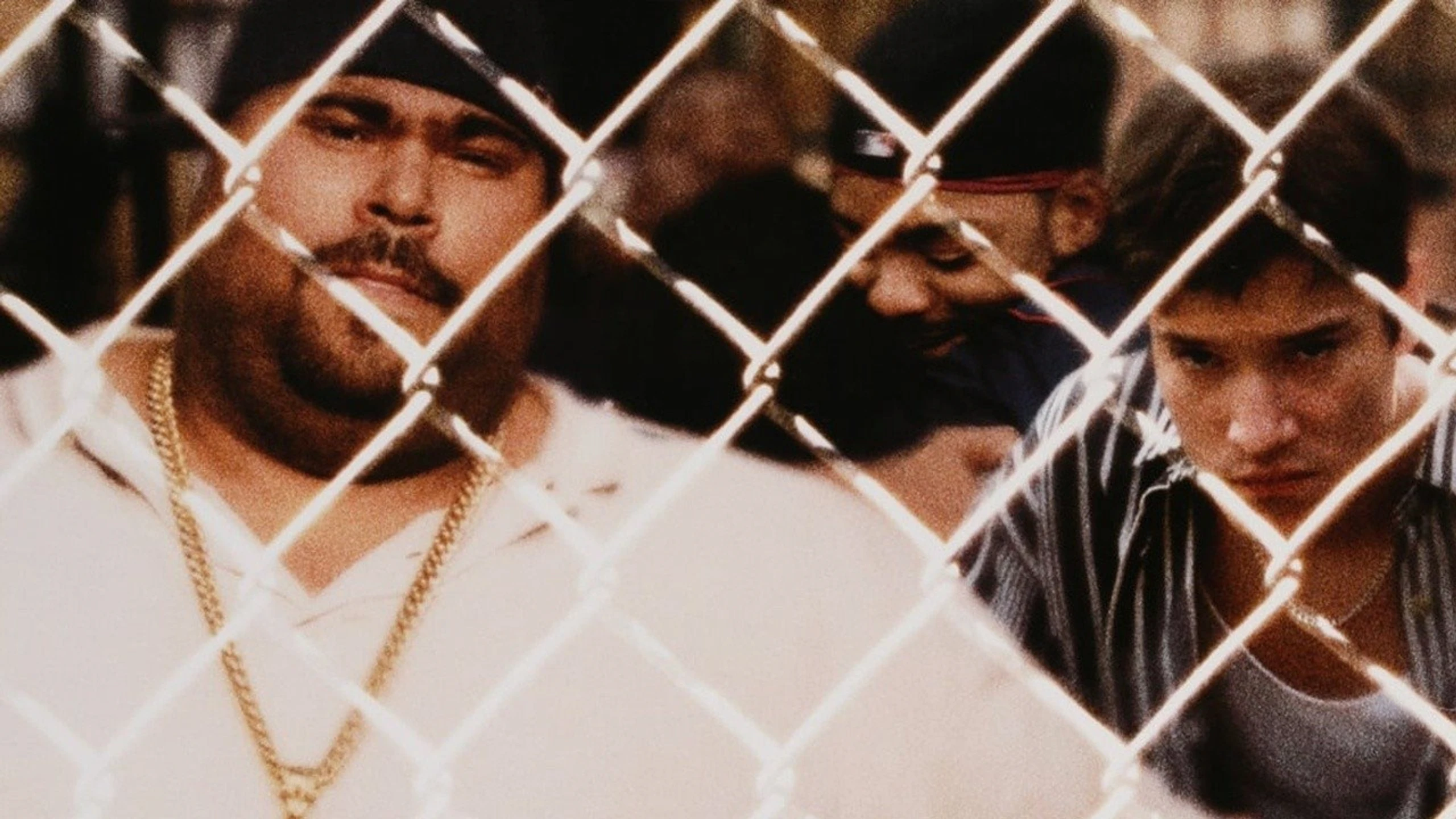 Boricua's Bond