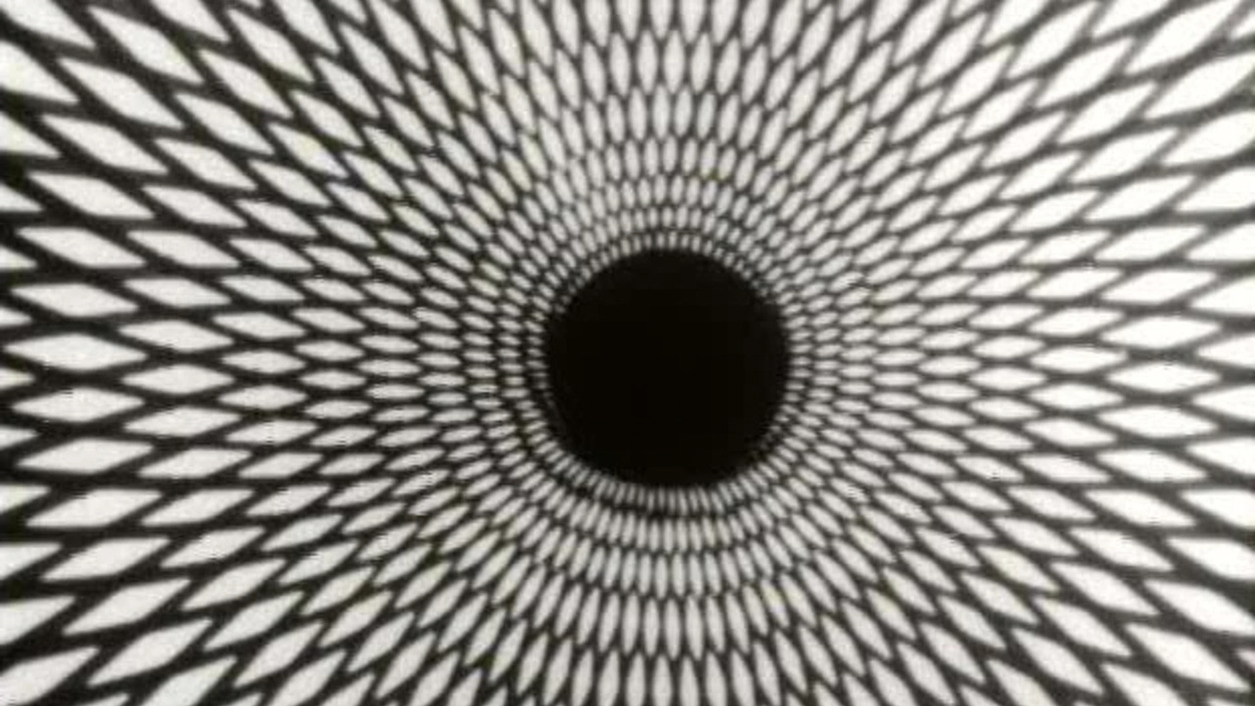 Spirals