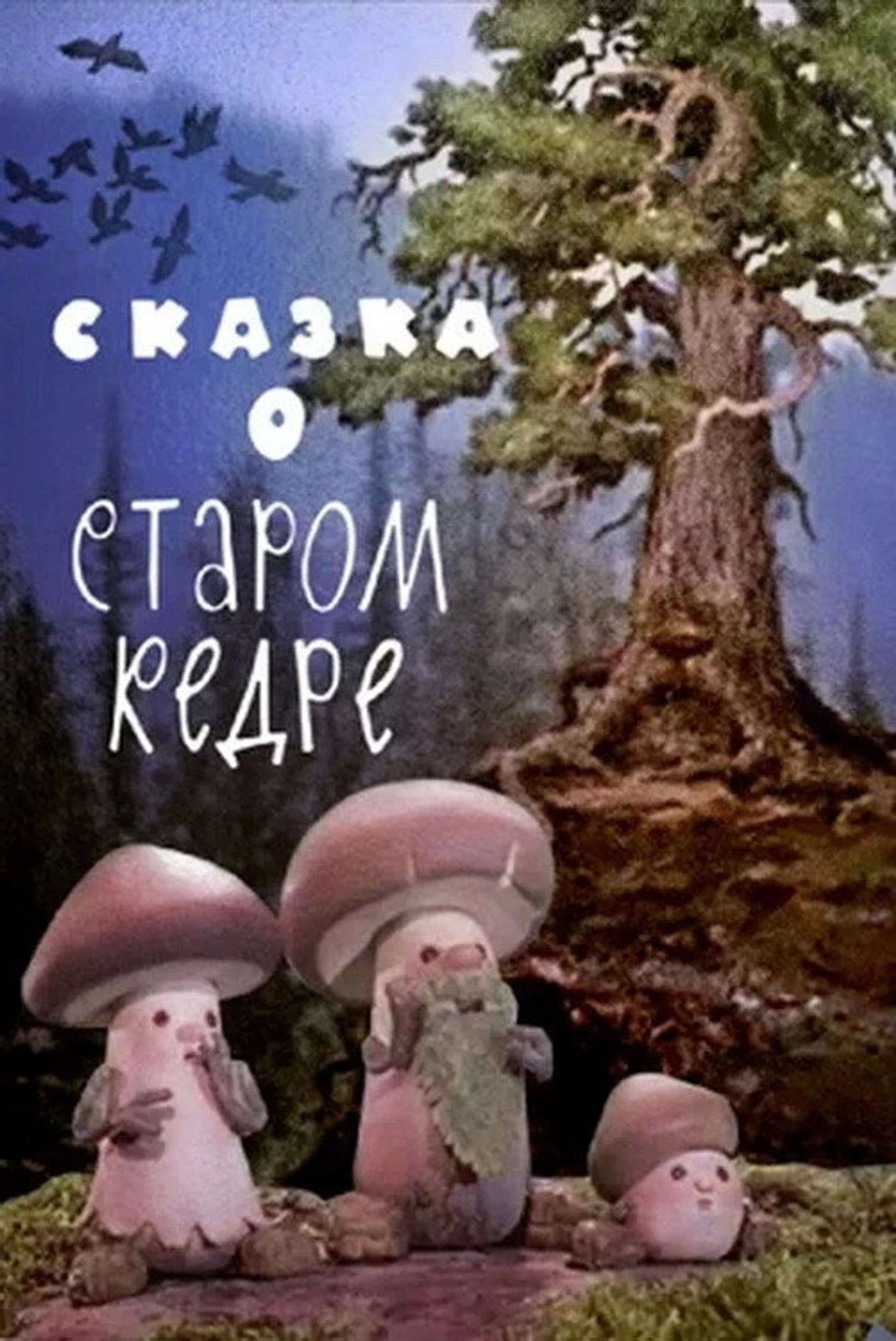 Сказка о старом кедре