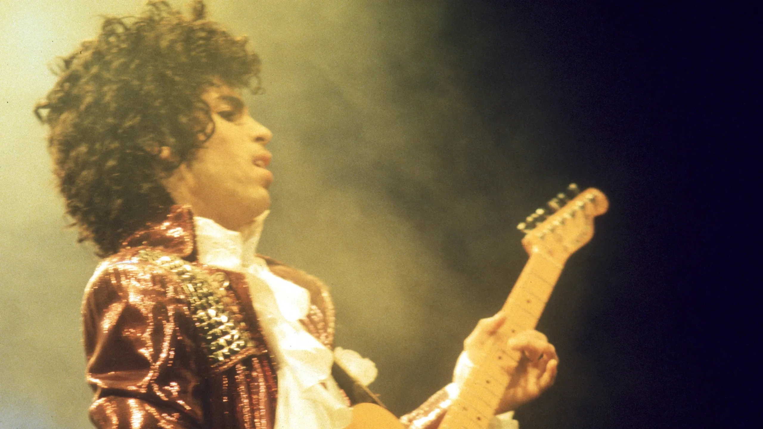 Prince: 1999 Live In Houston 12/29/82