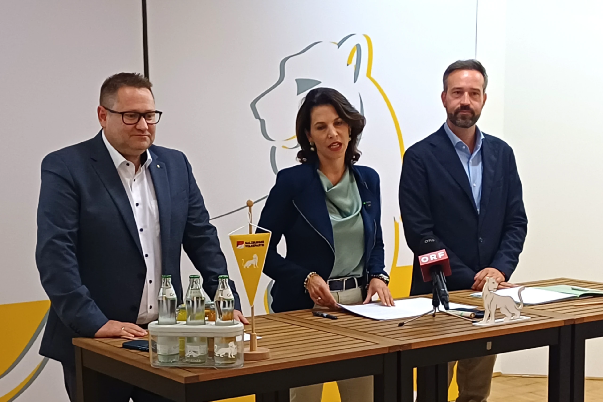 Landesregierung Salzburg: Klubobmann Mayer folgt auf Schnöll
