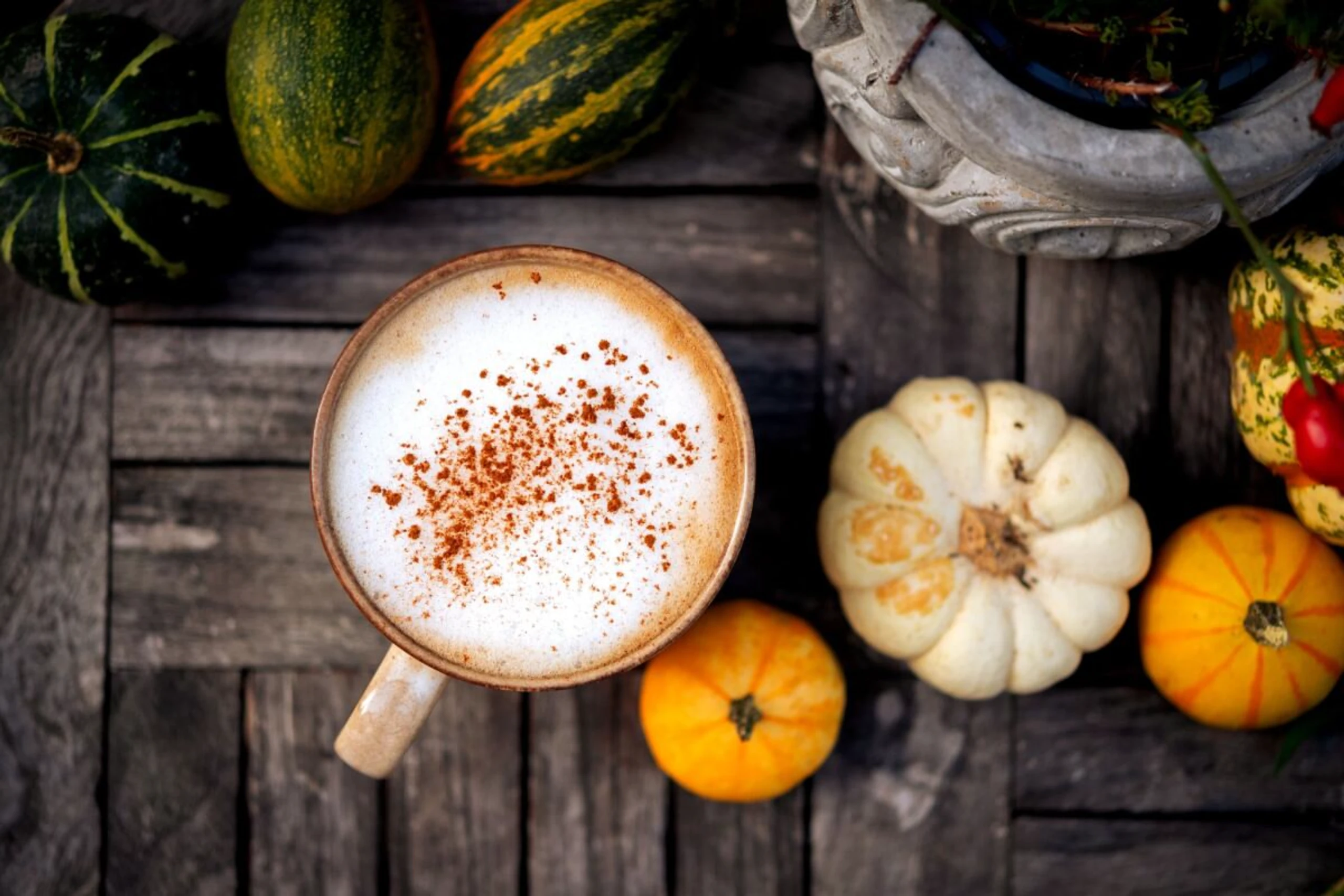 Zimt, Muskat, Nelken und Kardamom würzen den Pumpkin Spice Latte