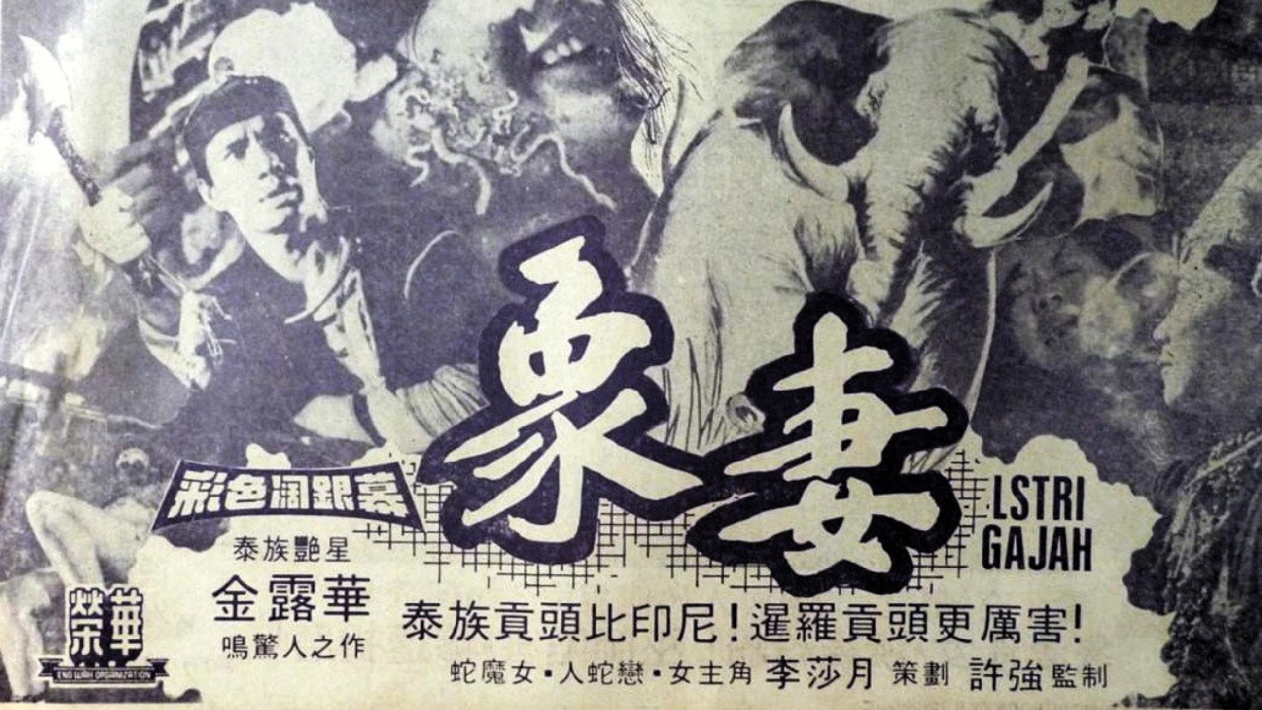 Zhi mo nu