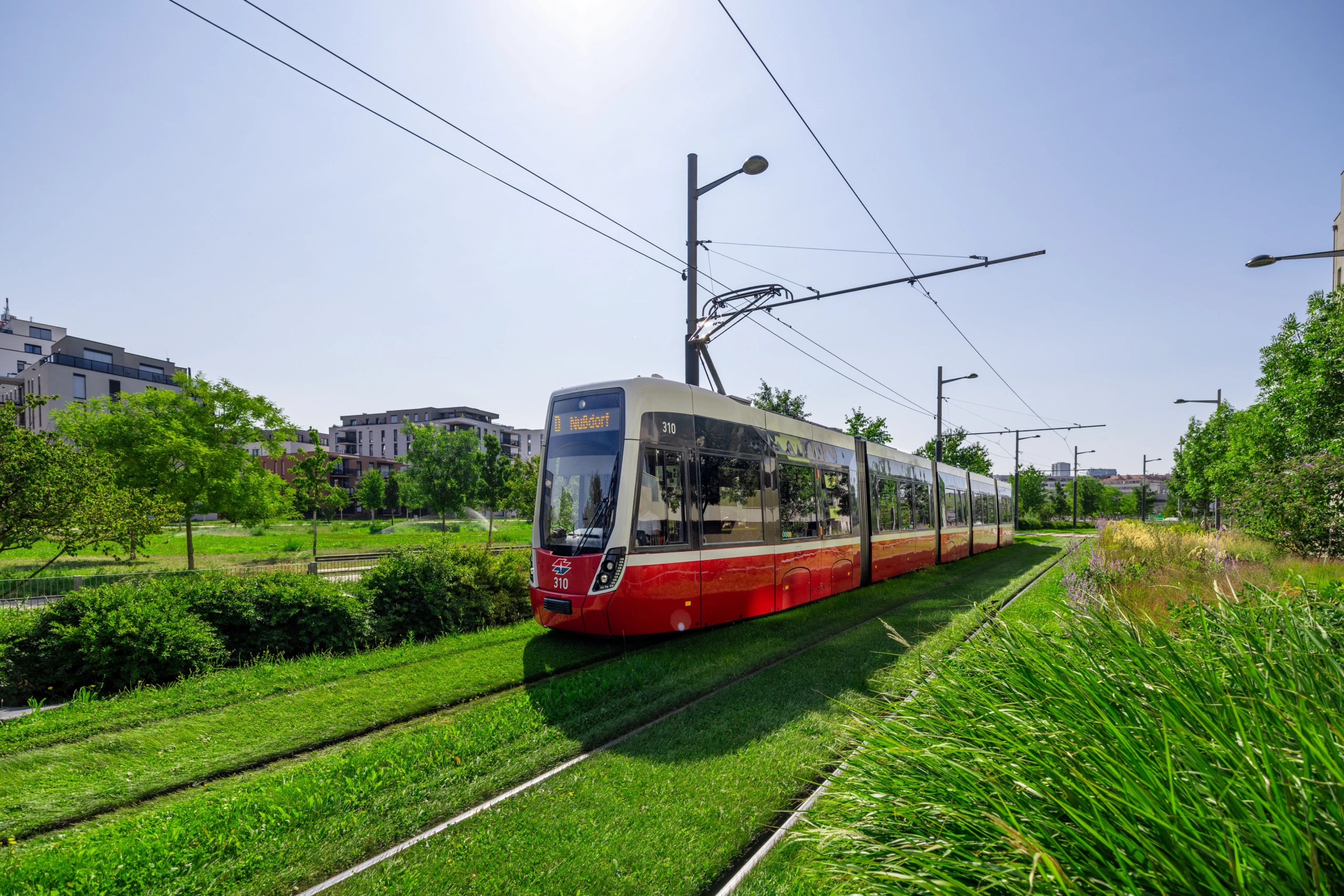 Wiener Linien bauen bis Ende 2026 weitere 600 Meter Grüngleise