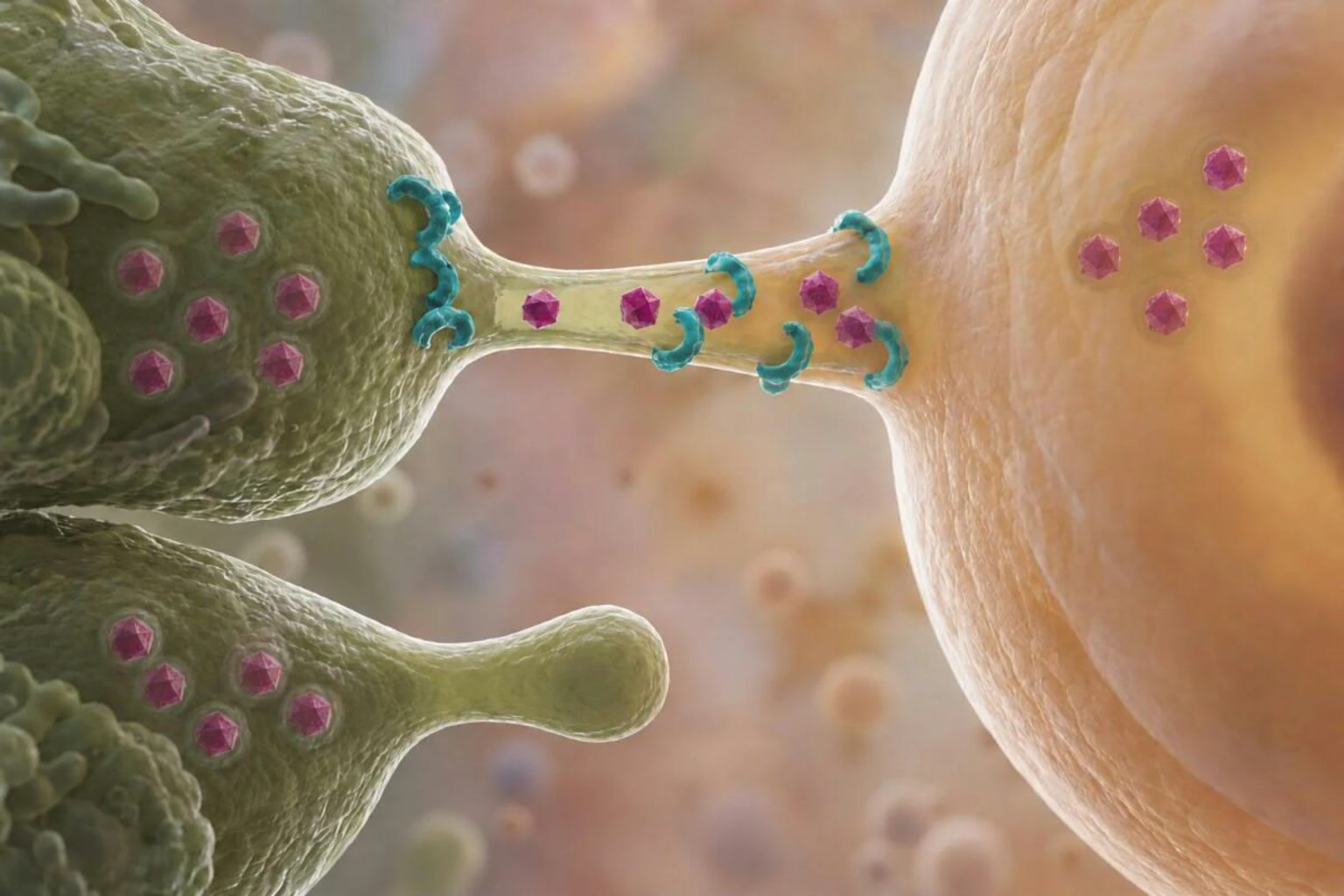Künstlerische Darstellung, wie "springende Gene" auf die Eizelle übertragen werden