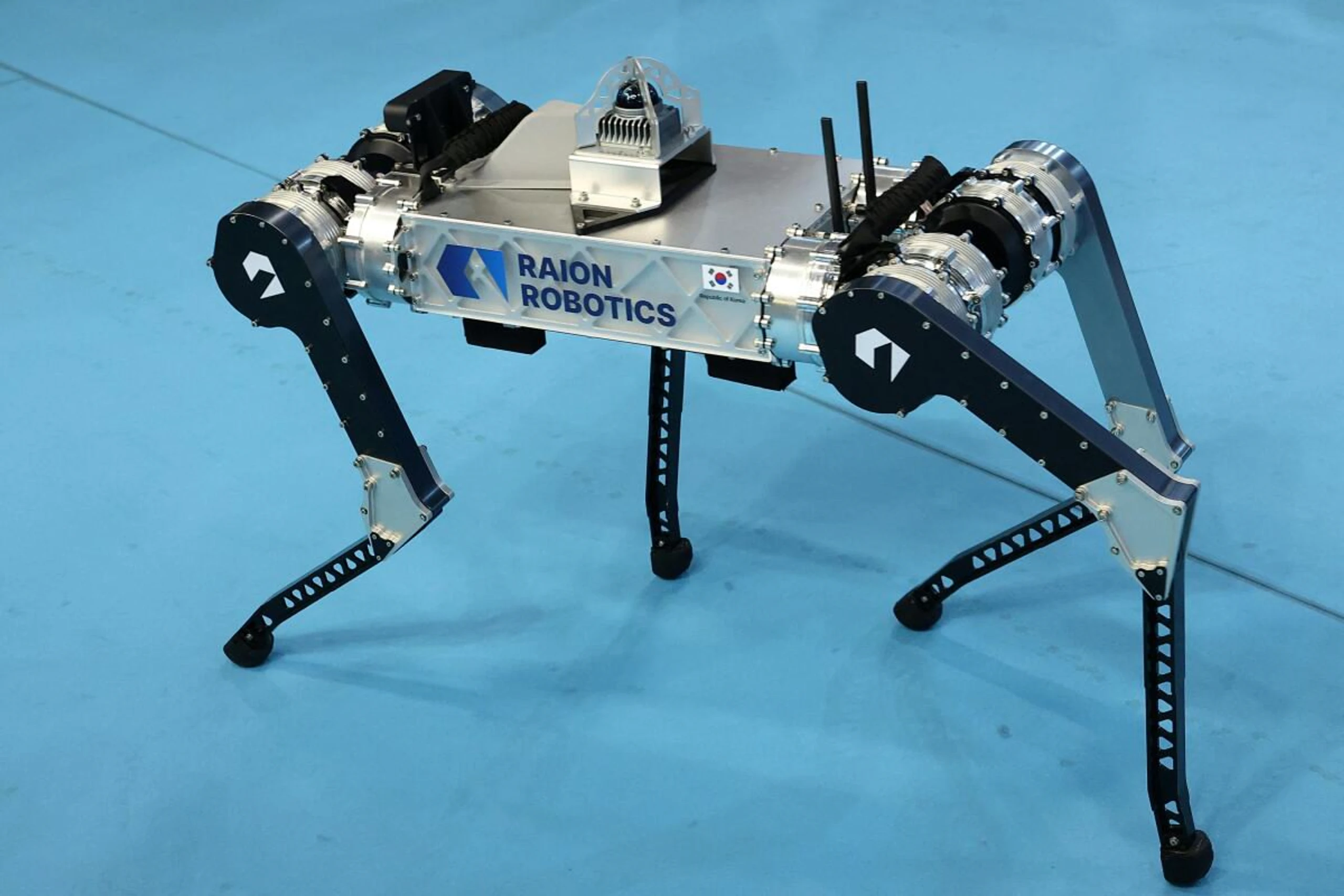 "Raibo2" übertrumpfte andere vierbeinige Roboter