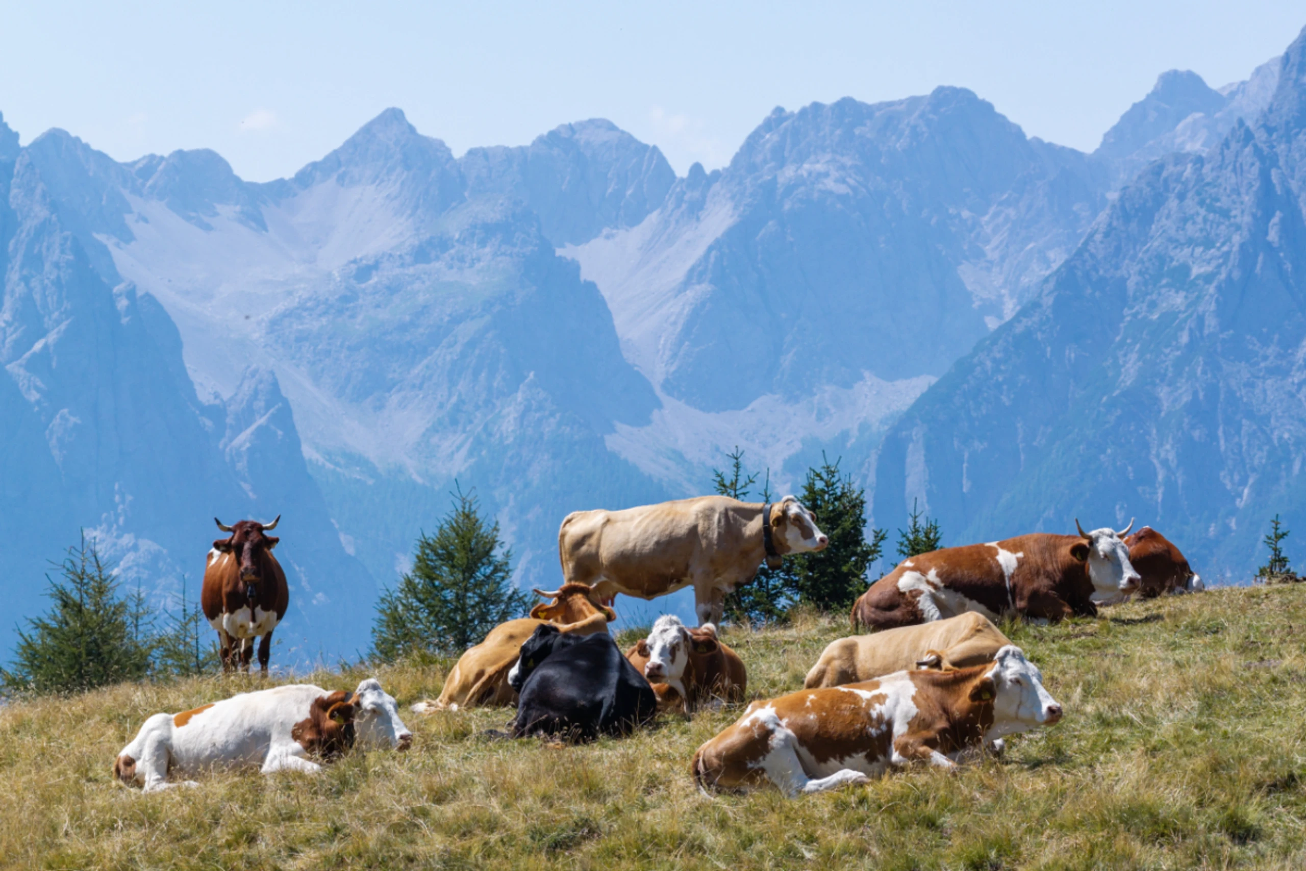 Buchungen gingen nach oben
