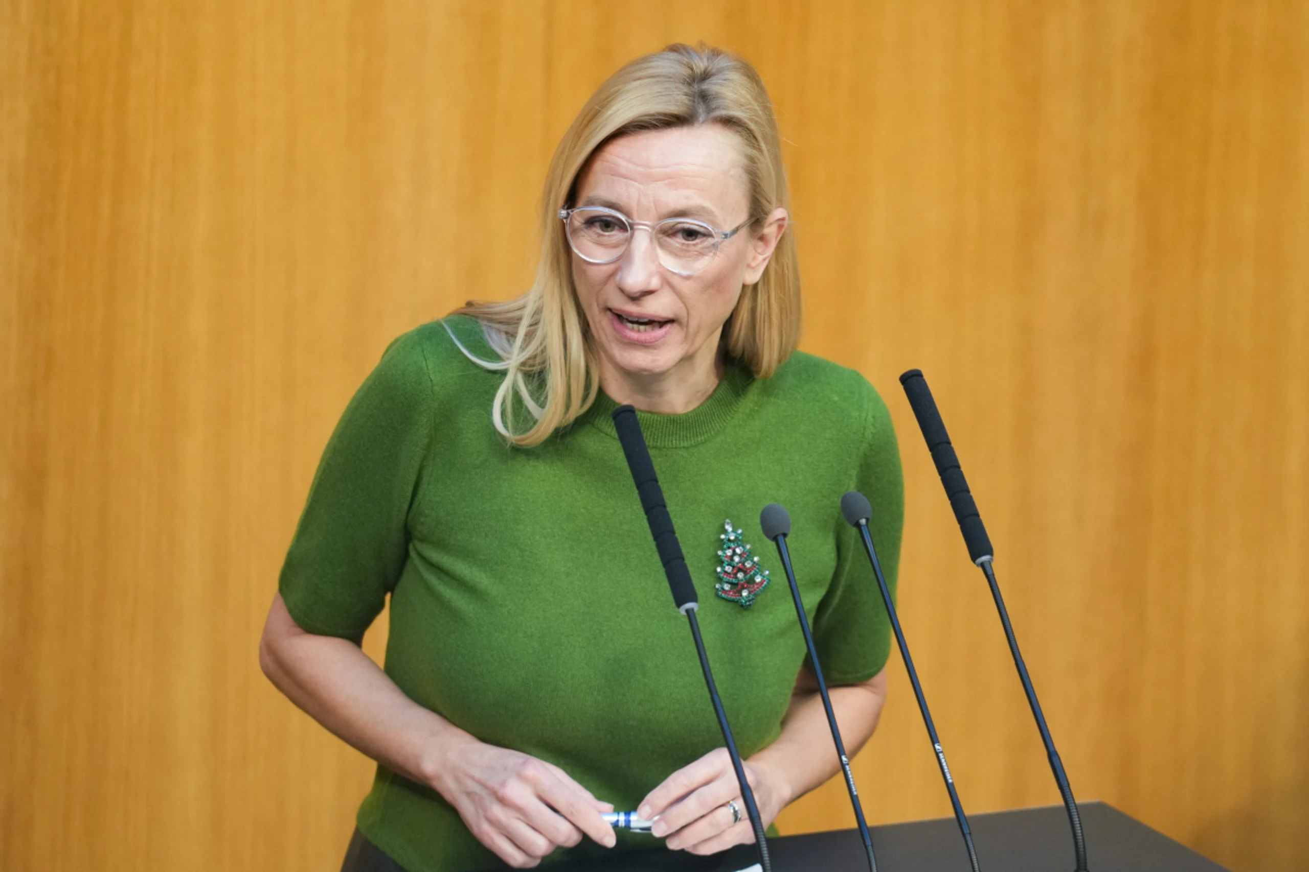 Bogner-Strauß politisch künftig nur noch im Nationalrat