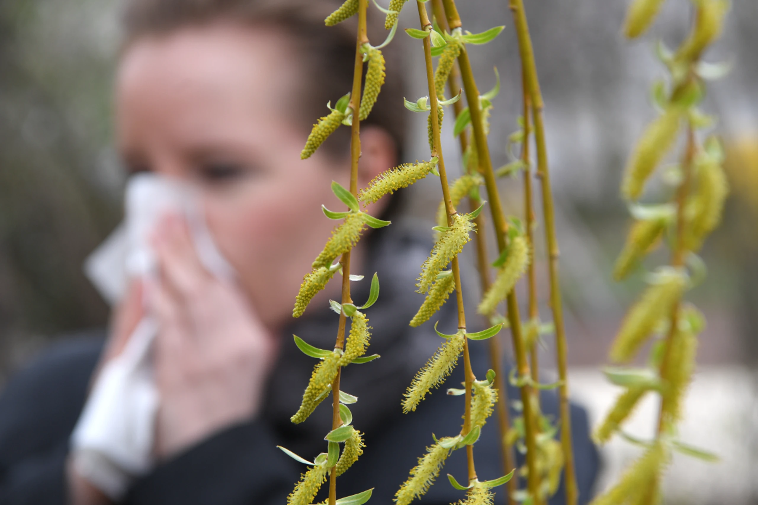 Allergische Kinder reagieren eher auf Hausstaubmilben