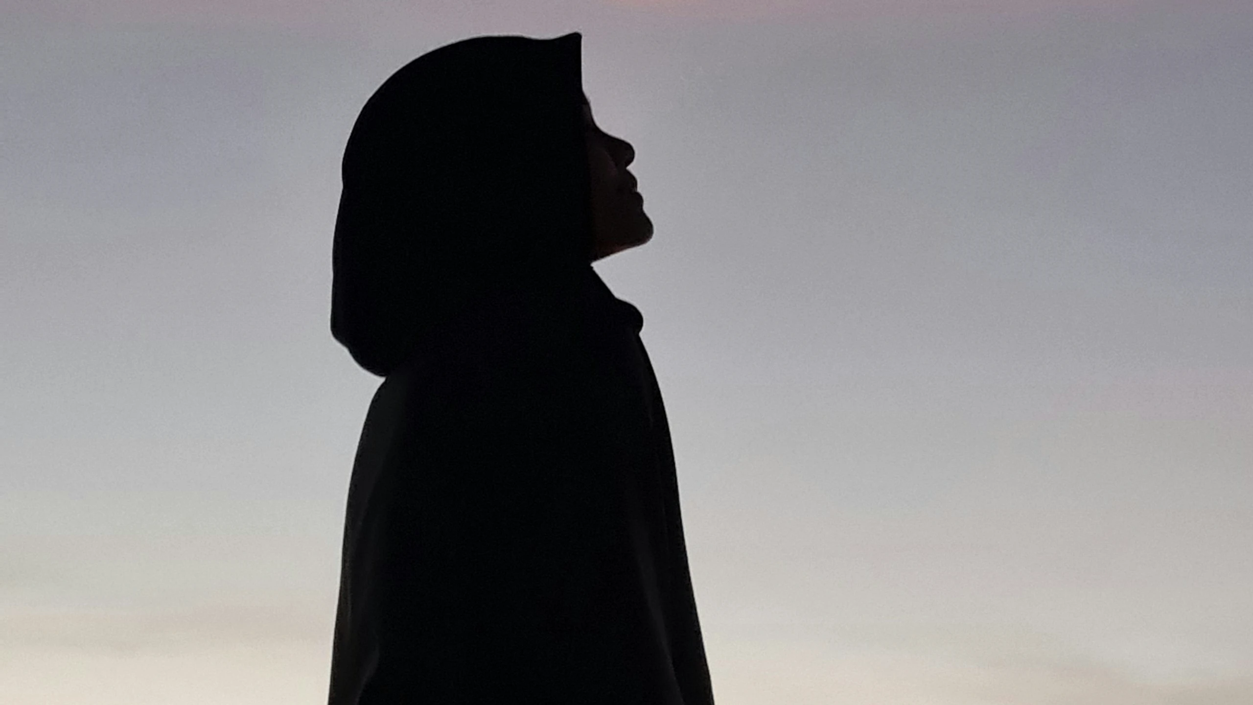 Die Wahrheit und die Lügen über den Islam in Europa