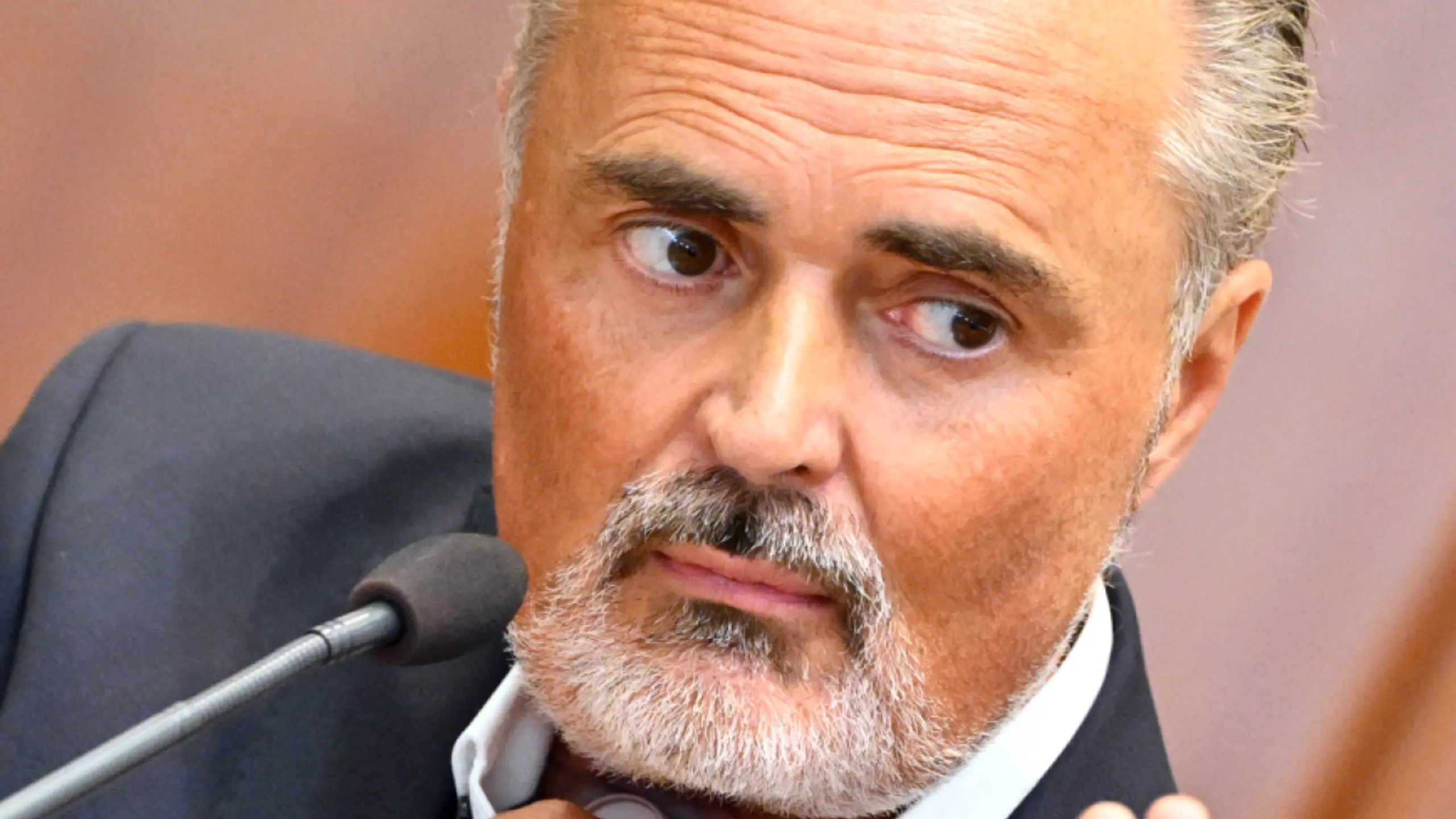 © HANS KLAUS TECHT, Apa Doskozil war zuletzt gegen eienen weiteren "linken Kandidaten"