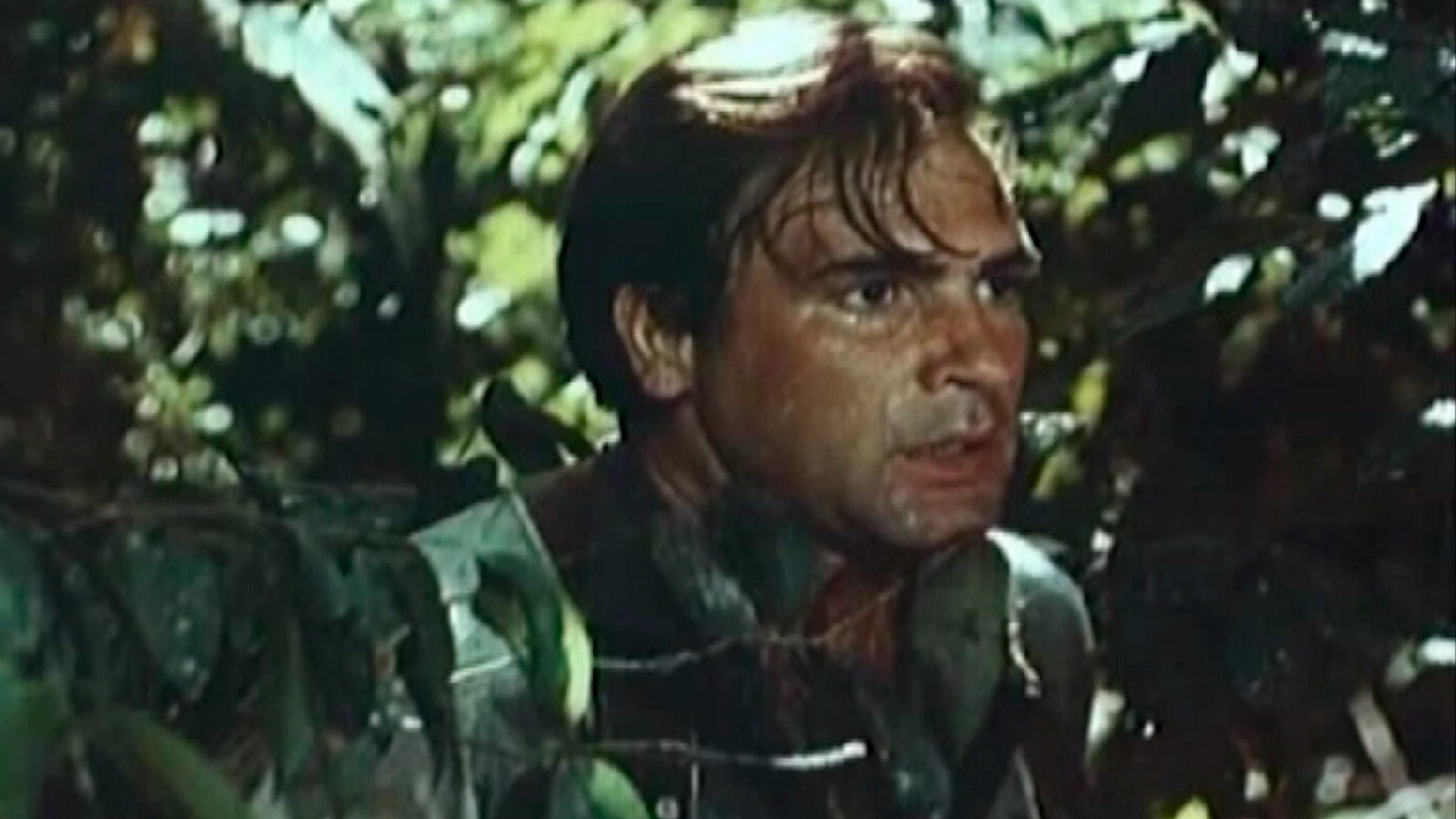 No Stars in the Jungle