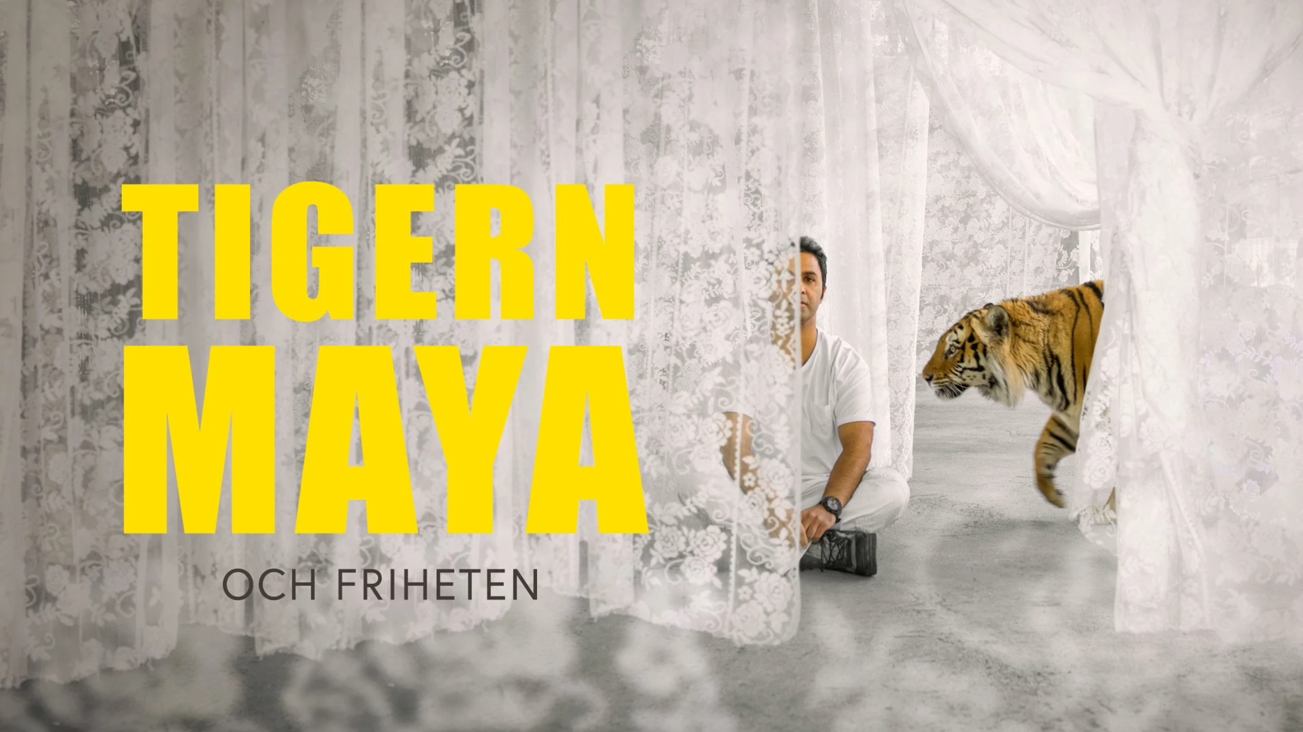 Wenn Tiger träumen - Eine Geschichte aus dem Nord-Iran