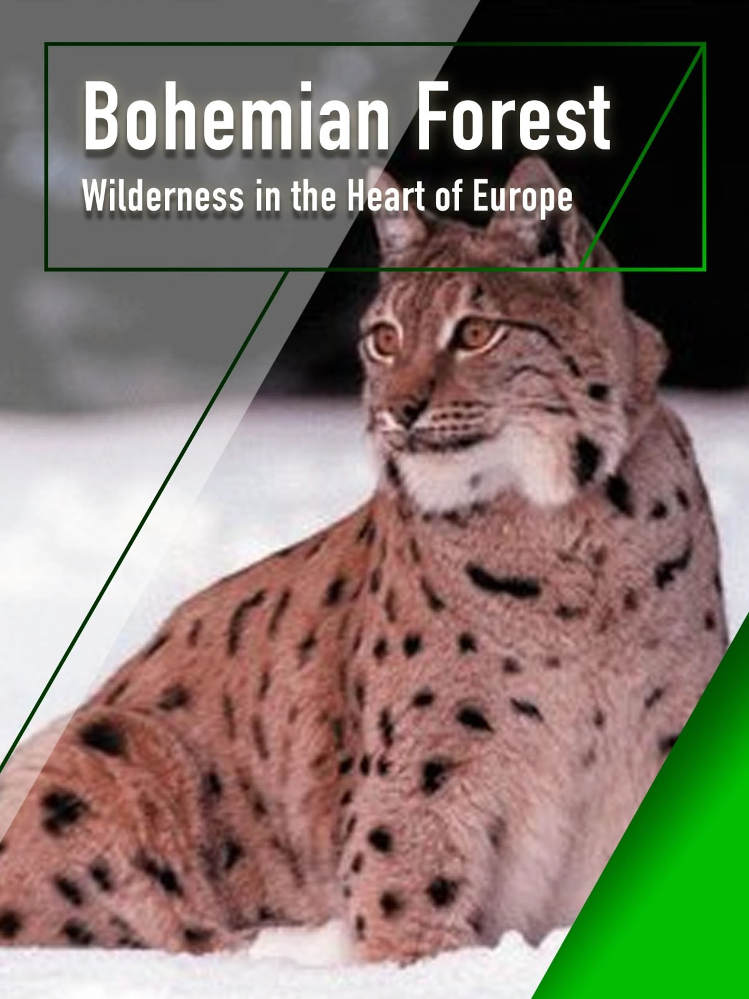 Böhmerwald - Wildnis im Herzen Europas