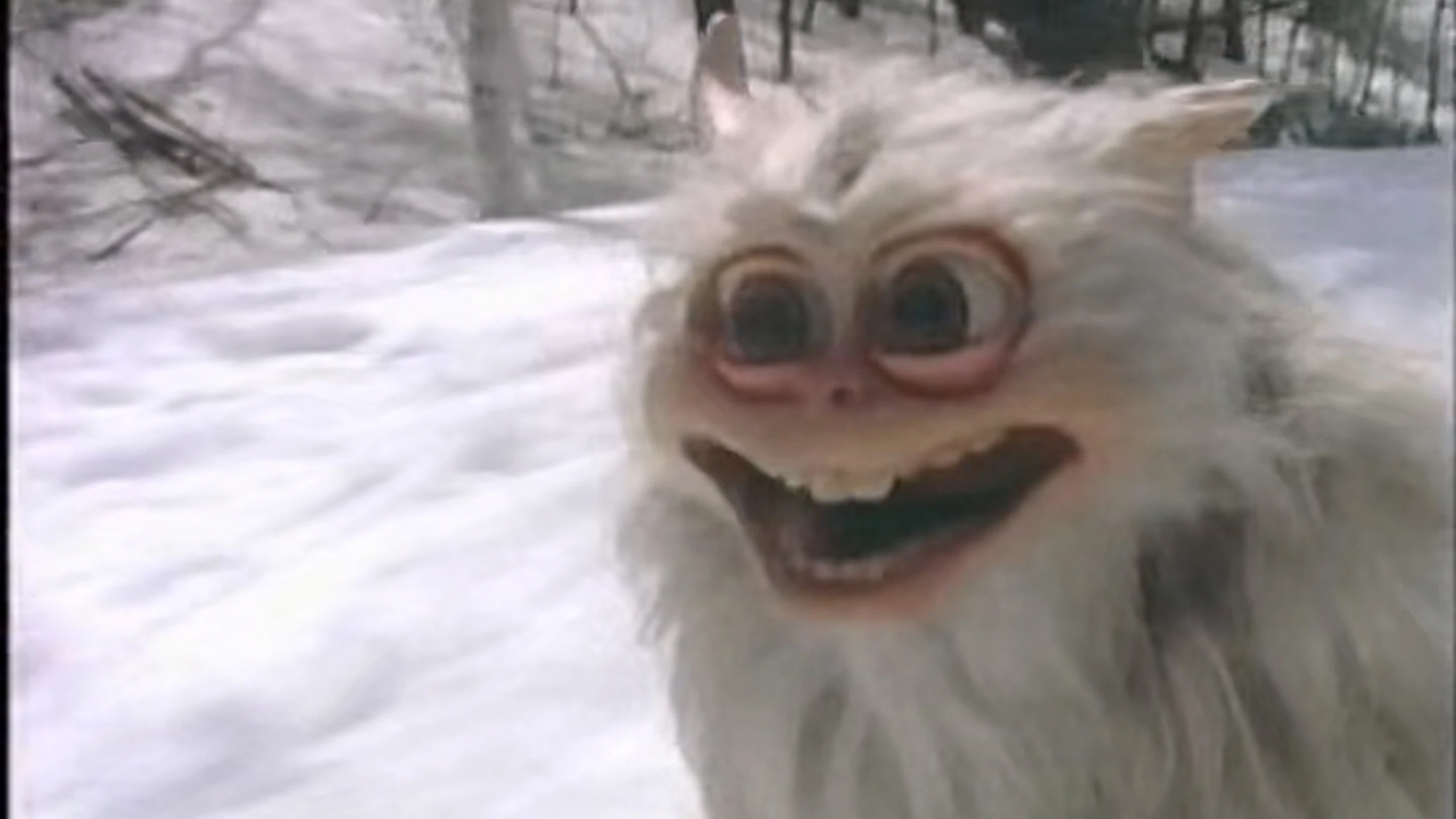 To Catch a Yeti