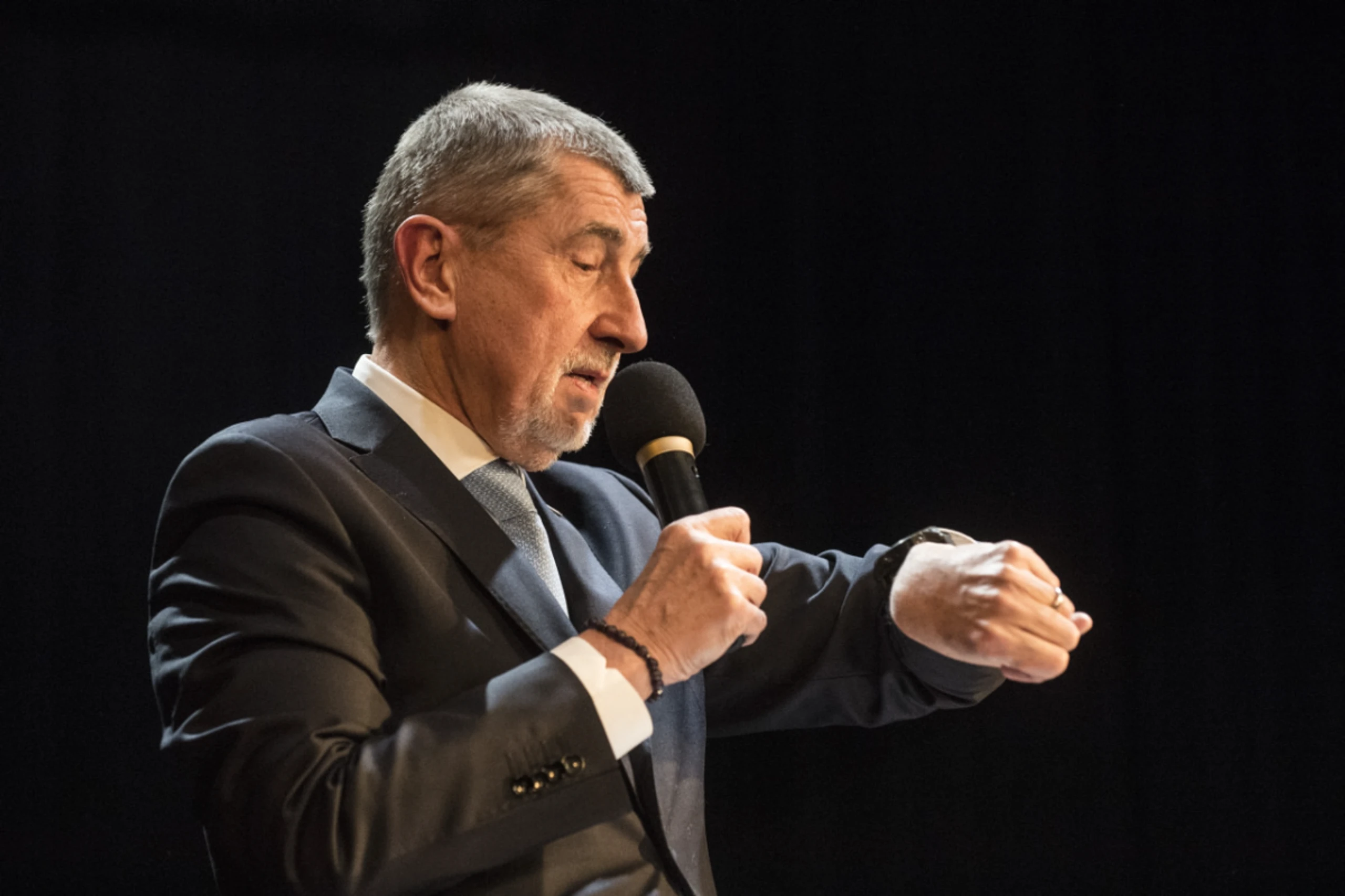 Tschechiens Premier Babis hofft auf die zweite Runde der Senatswahl