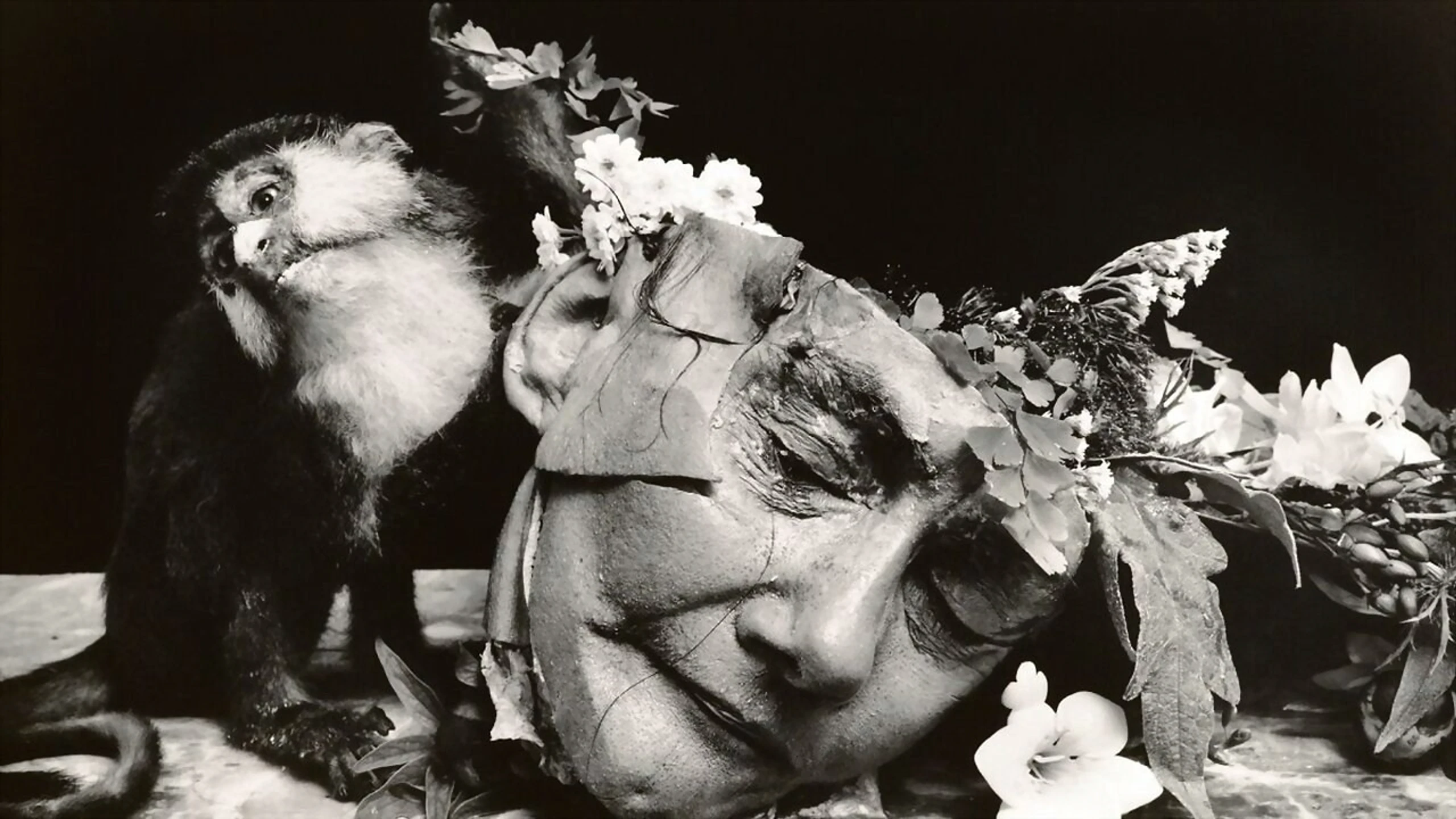 Witkin & Witkin