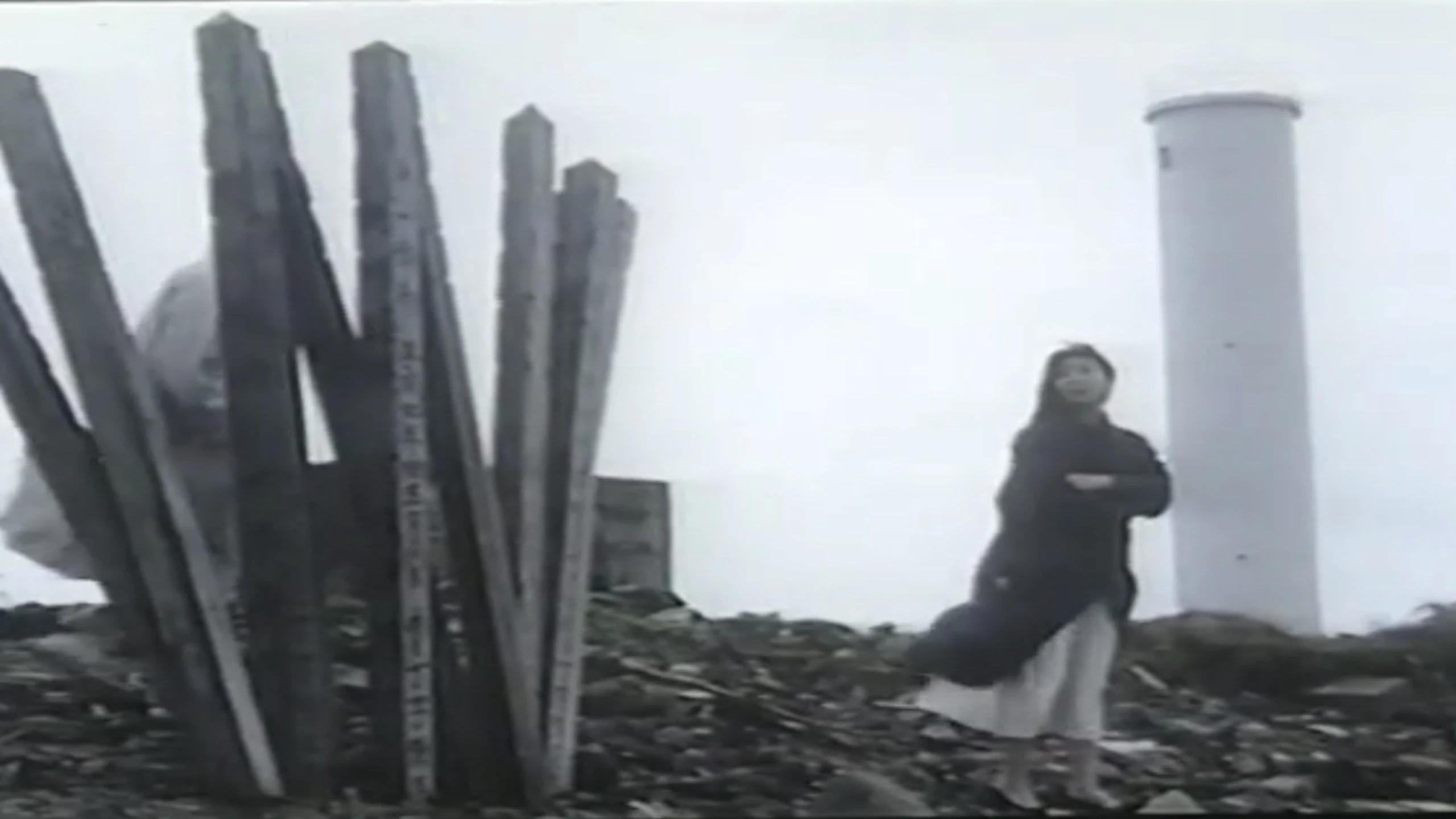 Molester Train: Mischievous Wives