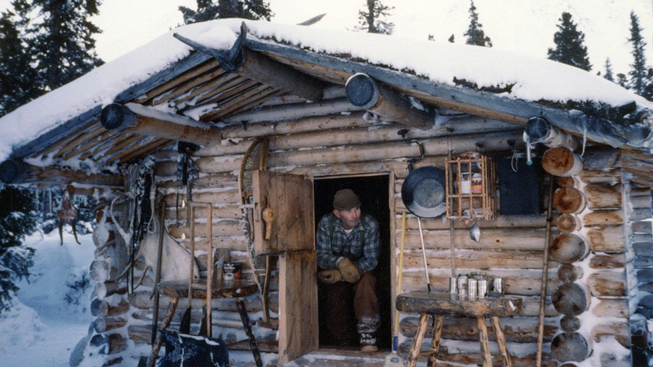 The Frozen North