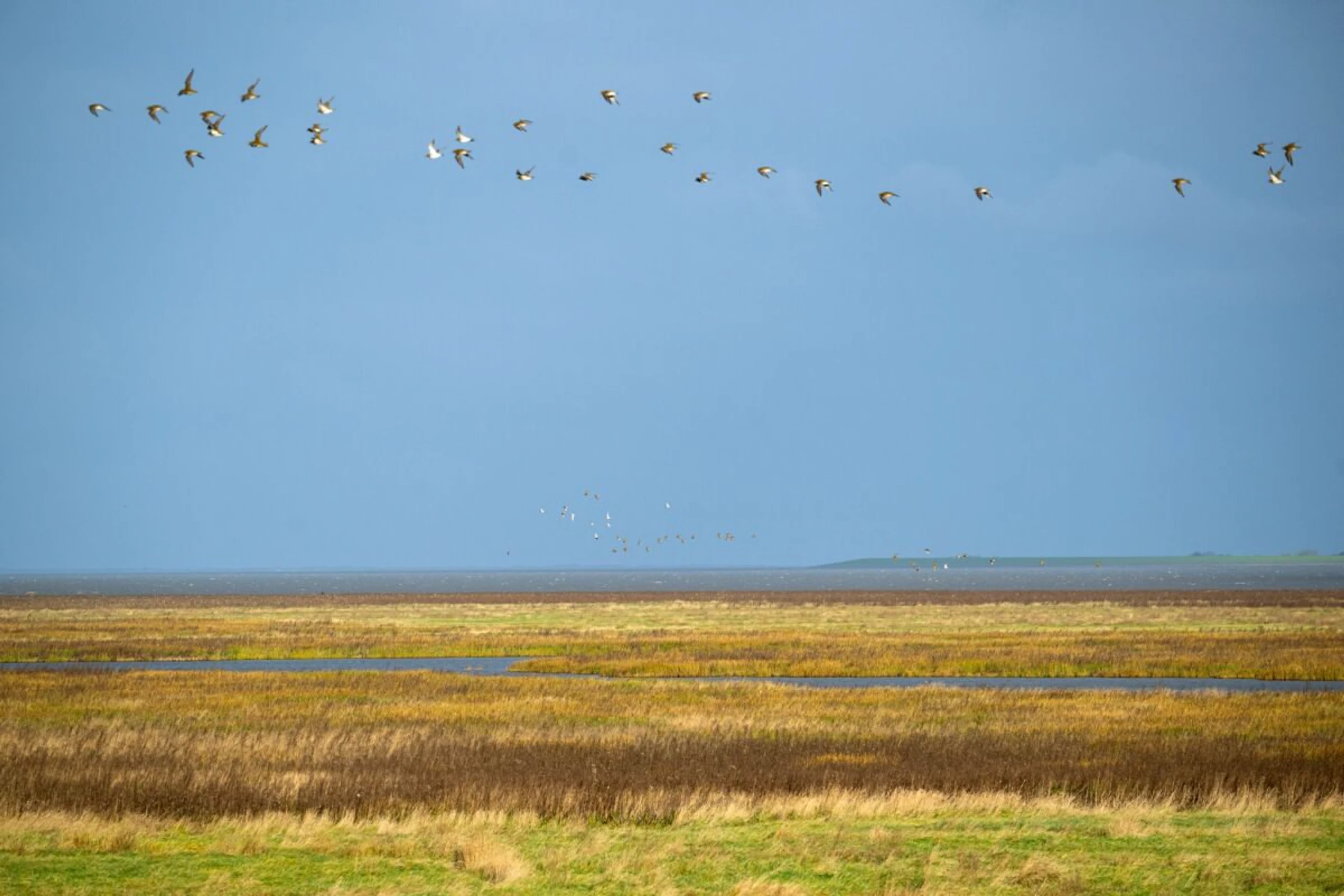 Planungshilfe für Europa für wirksamen Naturschutz