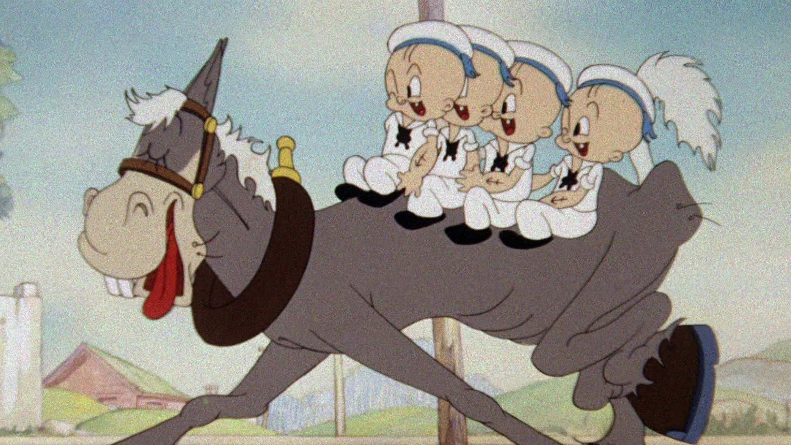 Her Honor, the Mare