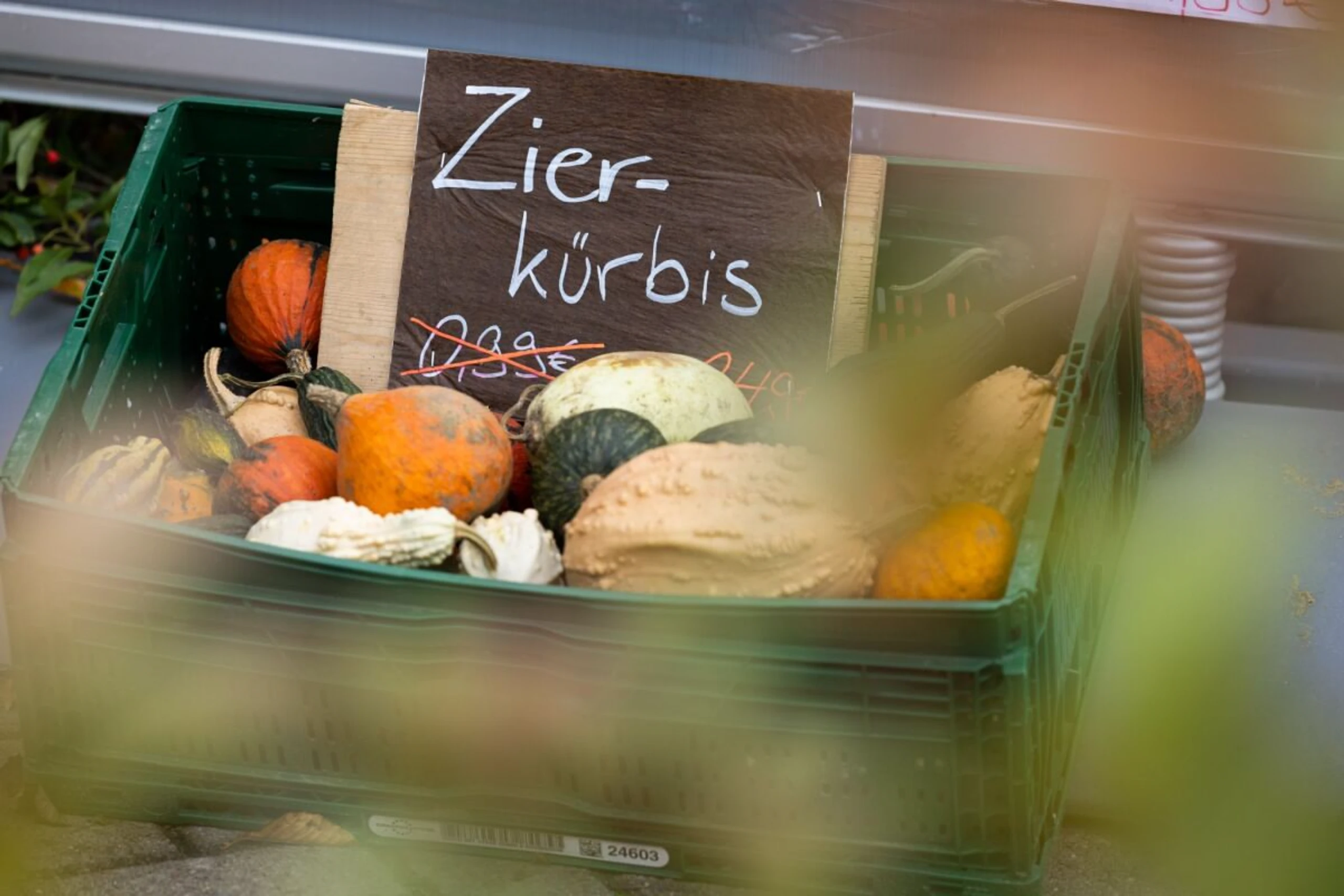 ++ ARCHIVBILD ++ Zierkürbisse können giftige Bitterstoffe enthalten