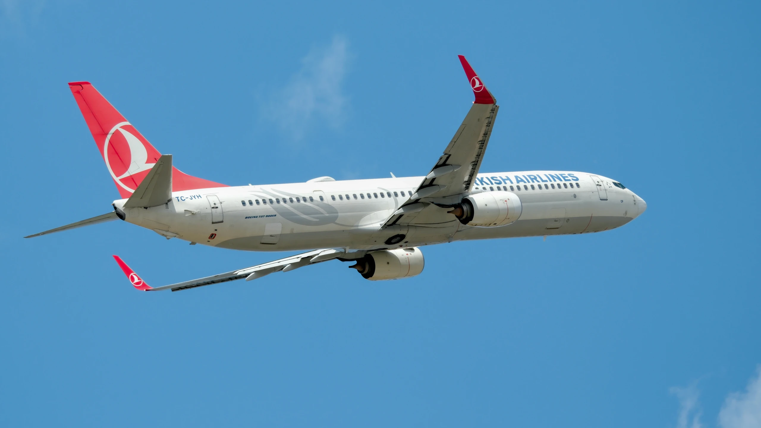 Ein Flugzeug von Turkish Airlines im Flug