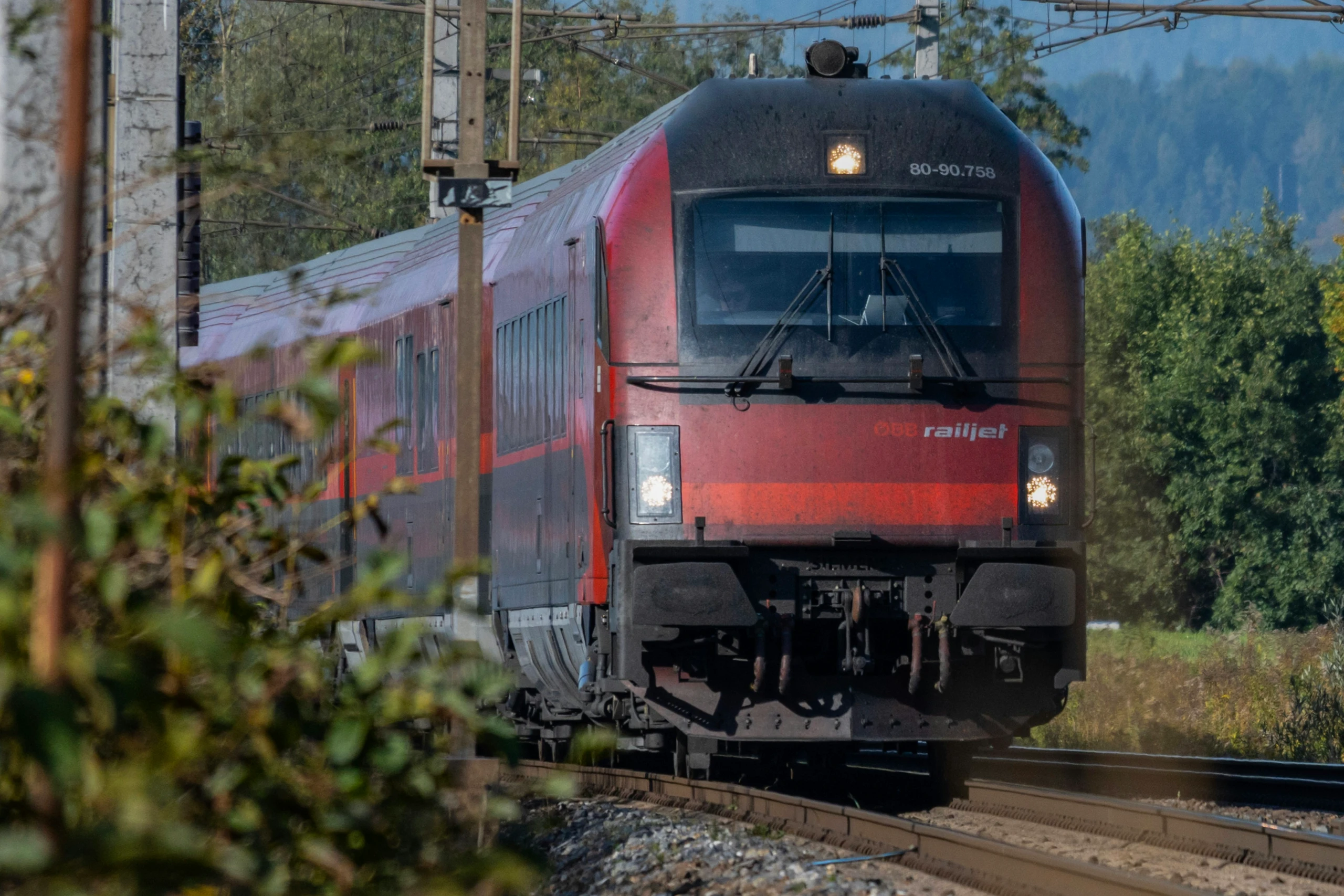 Ein Zug fährt durch eine bewaldete Landschaft in Österreich