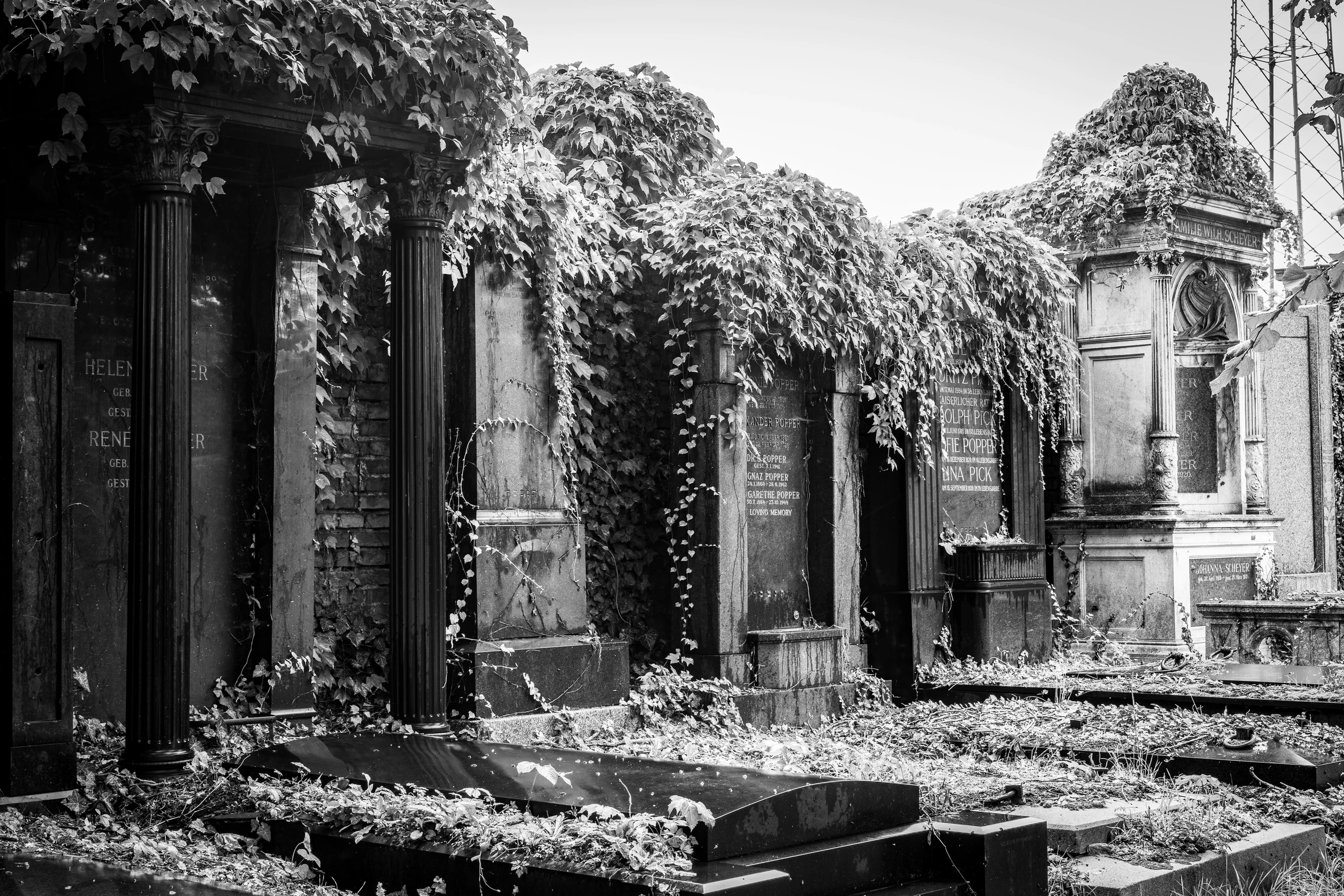 Grabsteine am Wiener Zentralfriedhof in Simmering