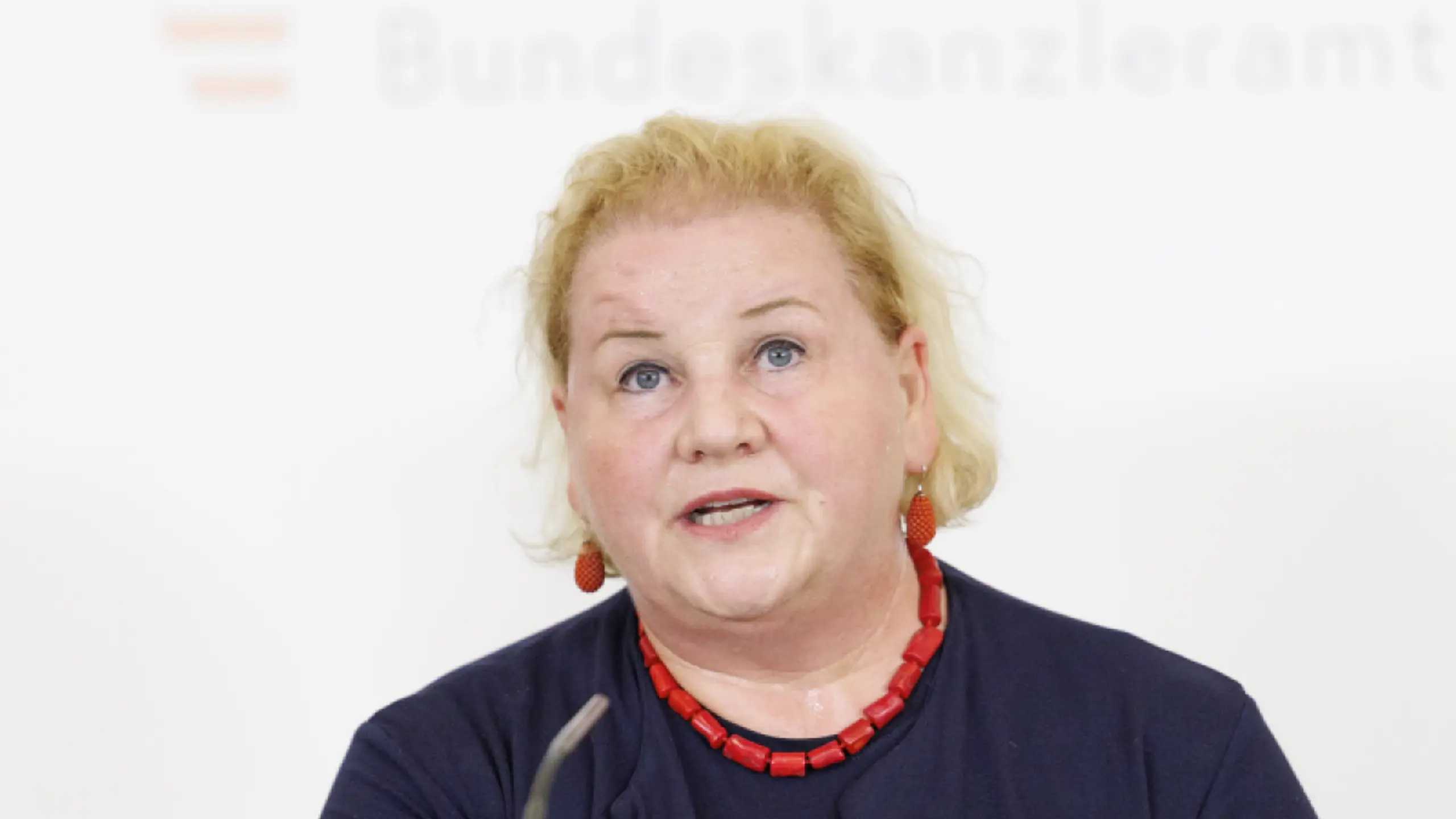 © TOBIAS STEINMAURER, Apa Sozialministerin Schumann bei der Pressekonferenz zur Sozialhilfe Neu