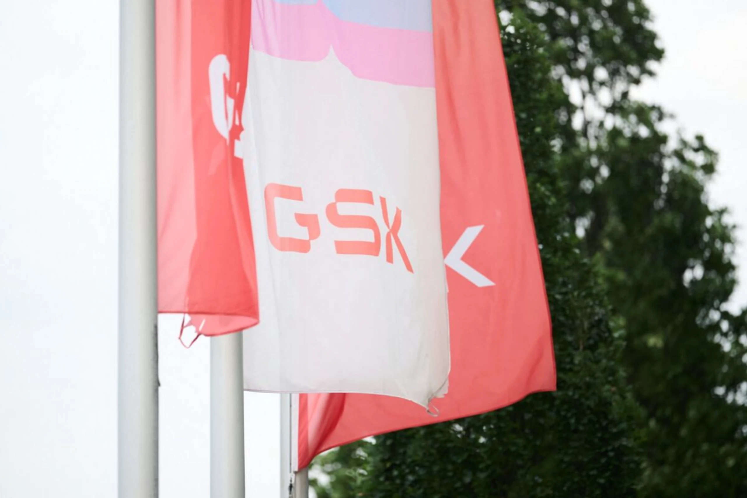 GlaxoSmithKline wächst