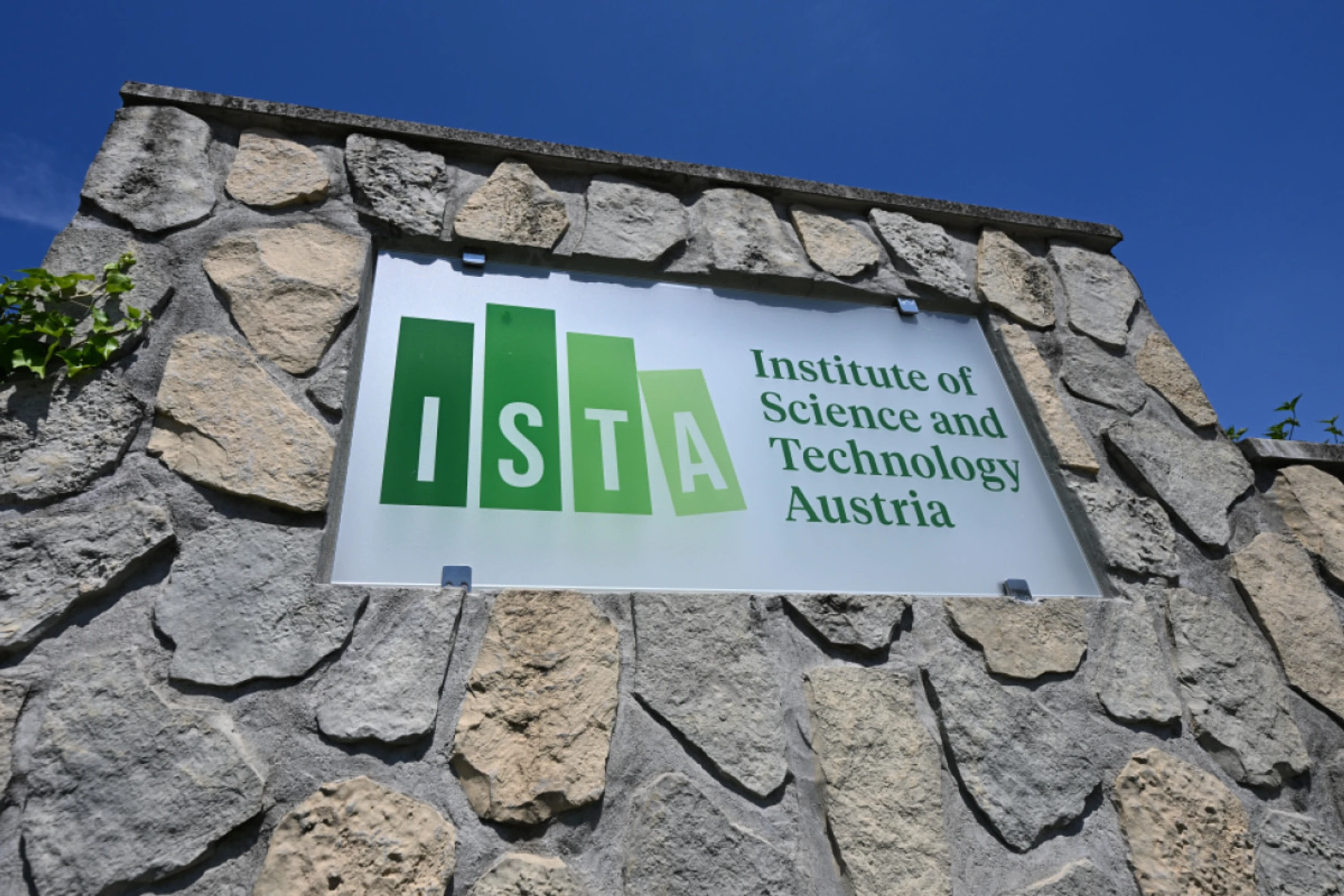 ISTA-Forscher fanden Sterne mit "kriminellen Hintergrund"