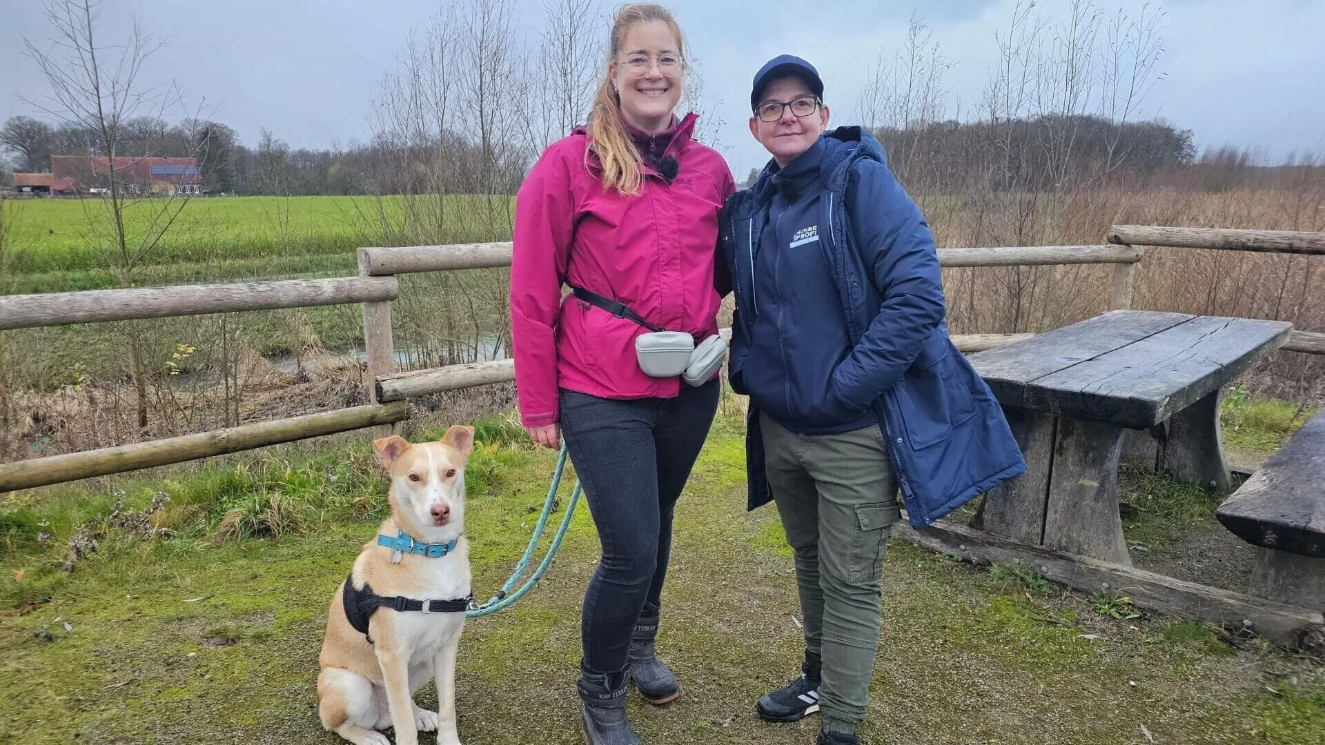 Der Hundeprofi - Rütters Team