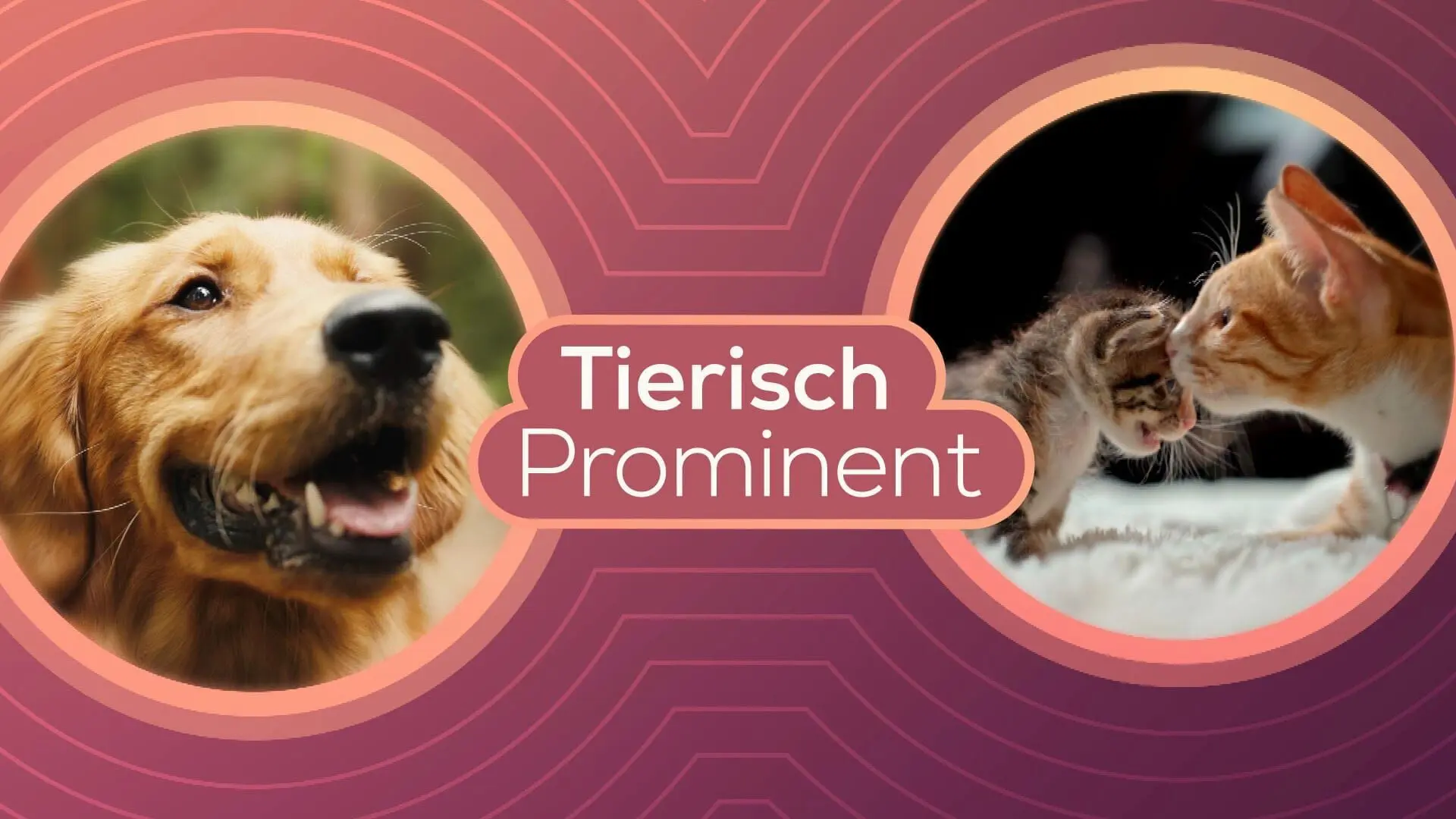 Tierisch prominent