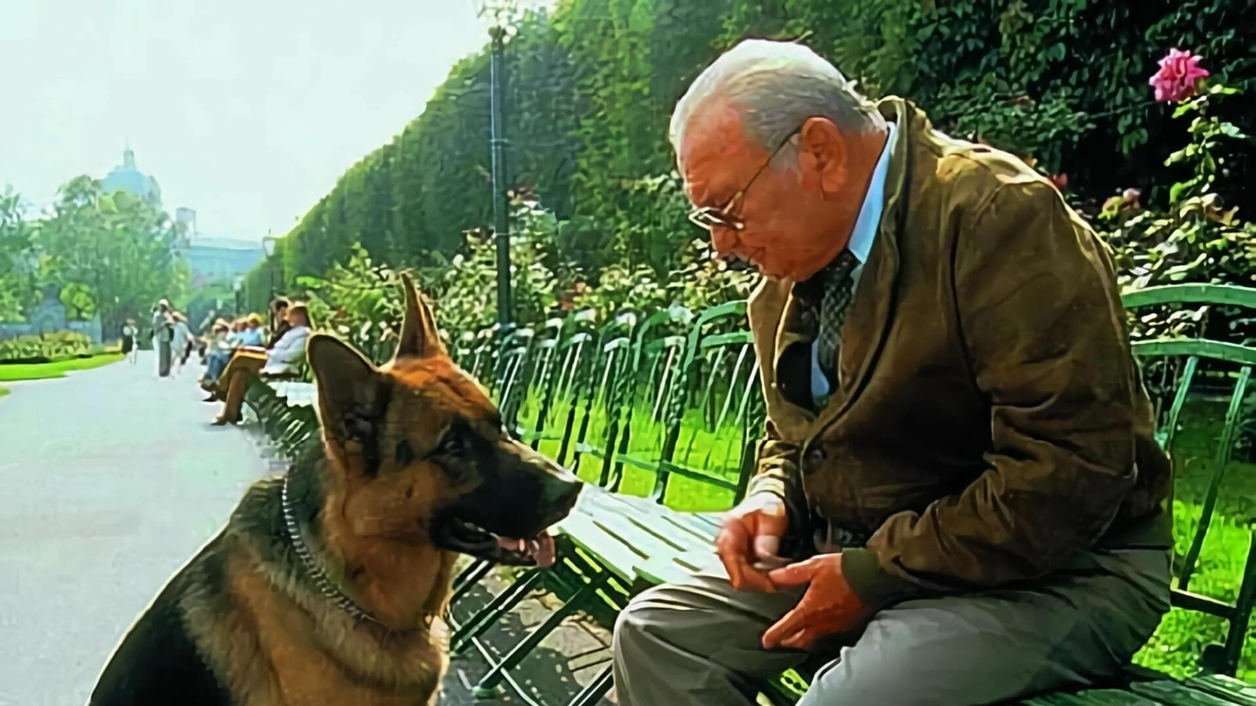 Kommissar Rex
