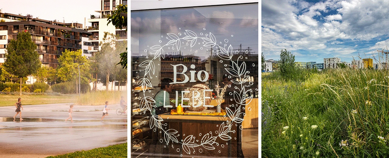 © unsplash / goodnight.at Erstellt mit Adobe Photoshop.