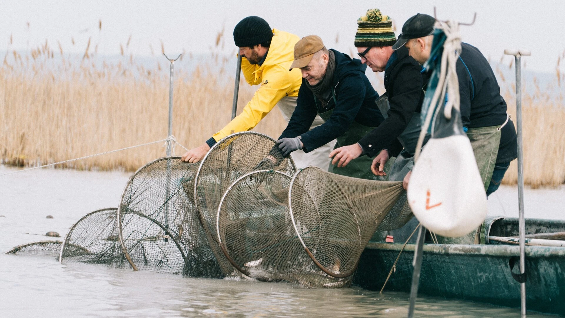 Fisch ahoi! Das Meer braucht eine Pause