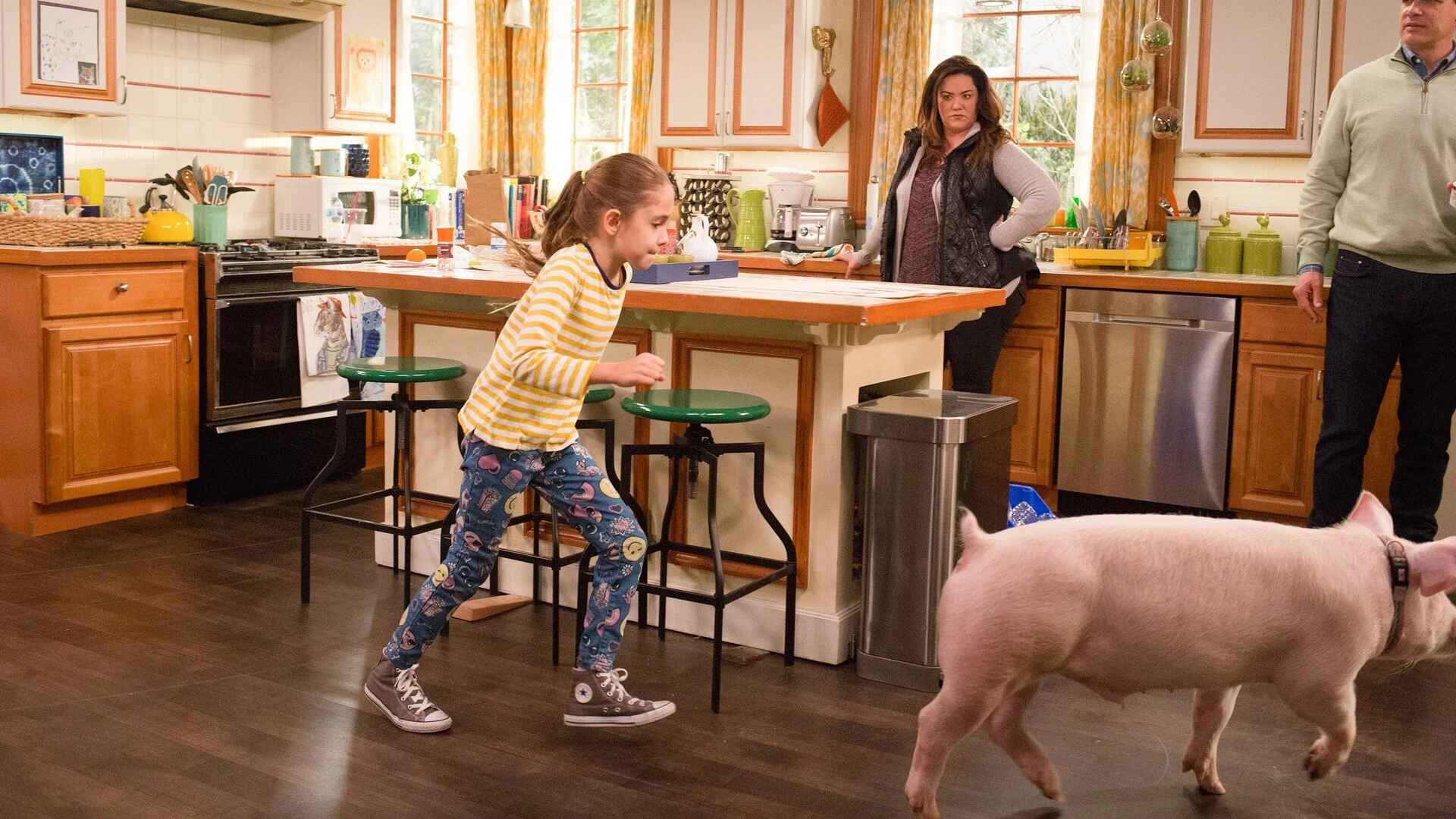 American Housewife