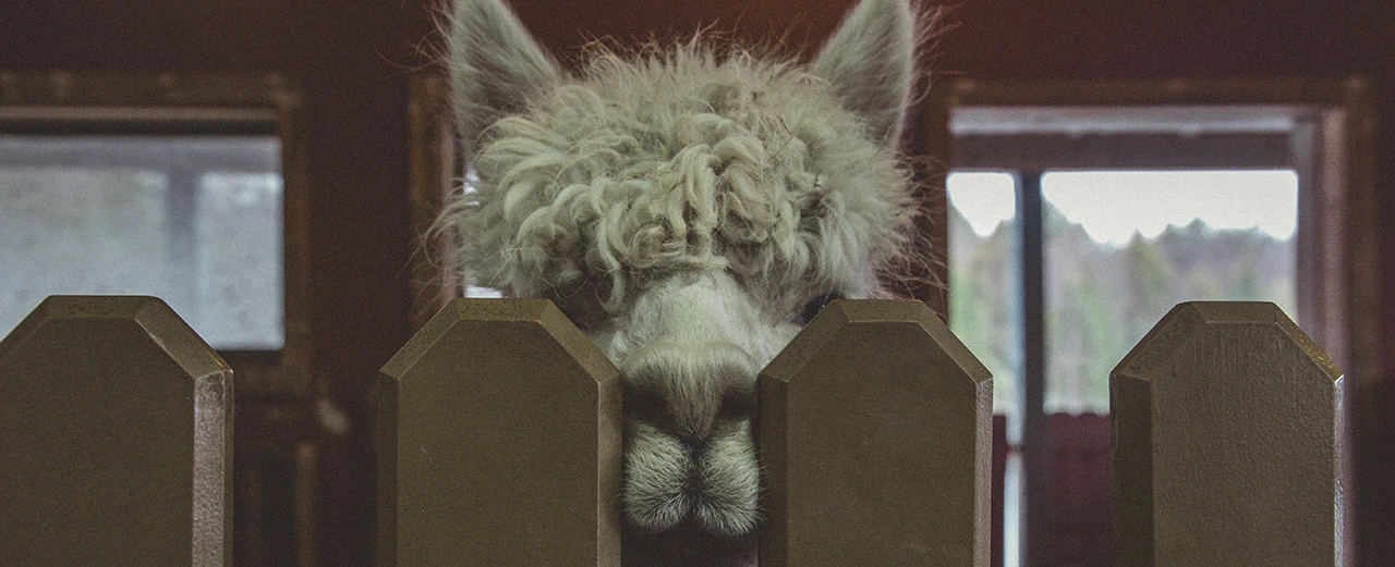 © Photo by Jp Valery on Unsplash