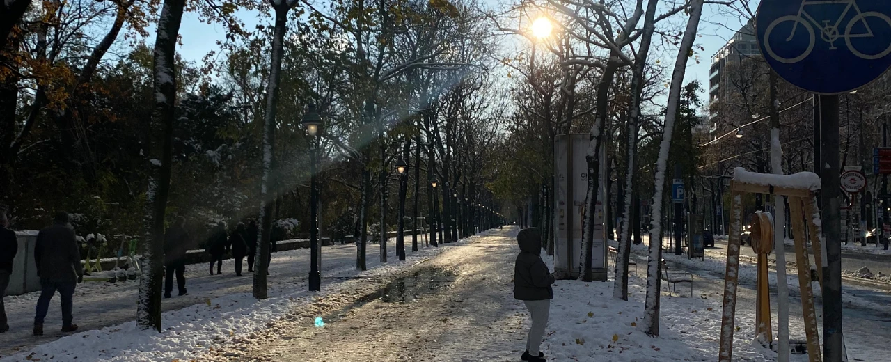 Schneebedeckter Parkweg im Wintersonnenschein. Menschen spazieren, Bäume sind mit Schnee bedeckt.