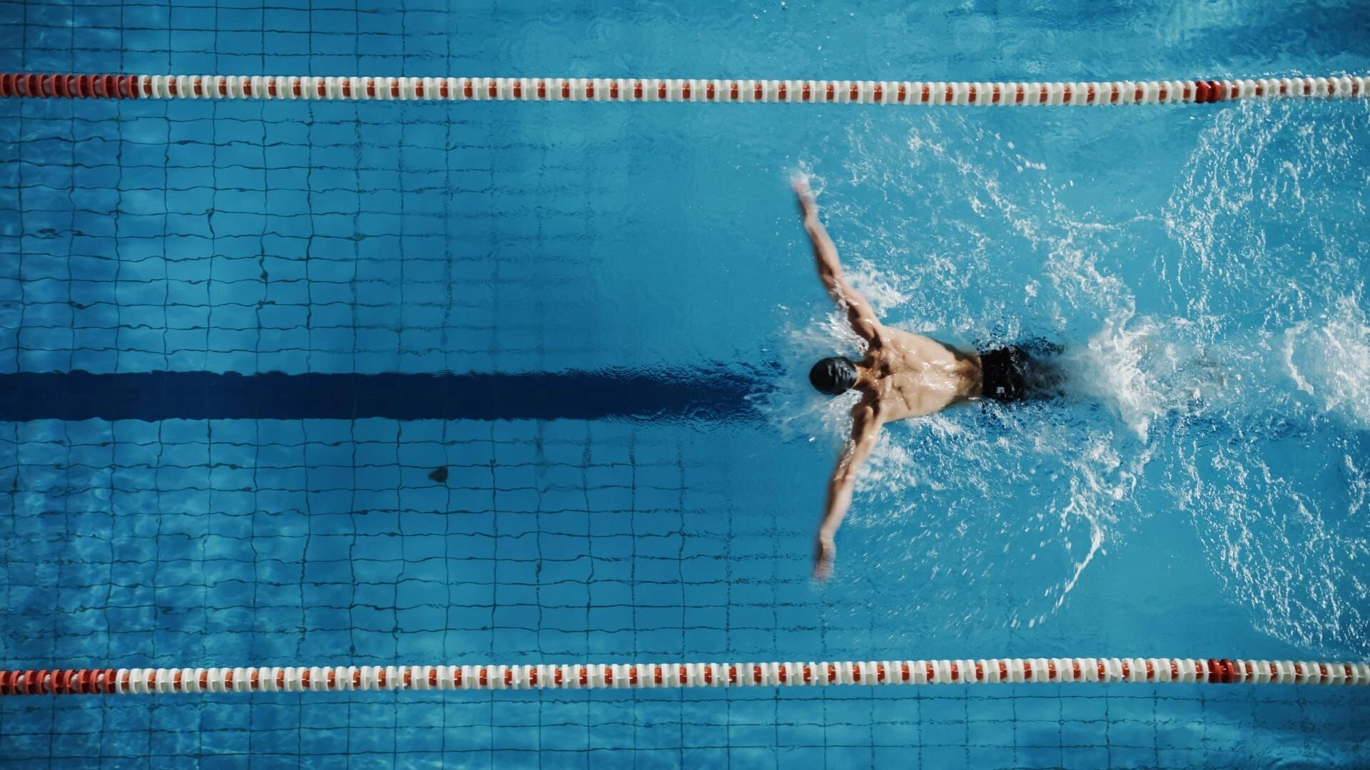 World Aquatics Schwimm Weltmeisterschaft 2025 Singapur