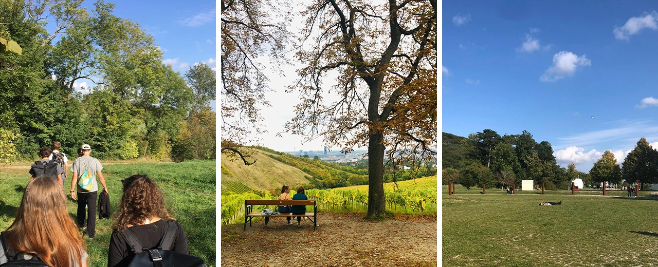 Drei Fotos zeigen verschiedene Naturlandschaften: Wandernde auf einem Weg, eine Bank in einem Weinberg mit Blick auf die Stadt und eine weite grüne Wiese.