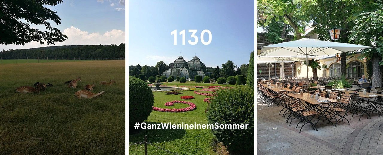 © Lena Schmid Drei Bildercollage: Rehe auf der Wiese, Palmenhaus Schönbrunn, Wiener Gastgarten. #GanzWieninmeinemSommer