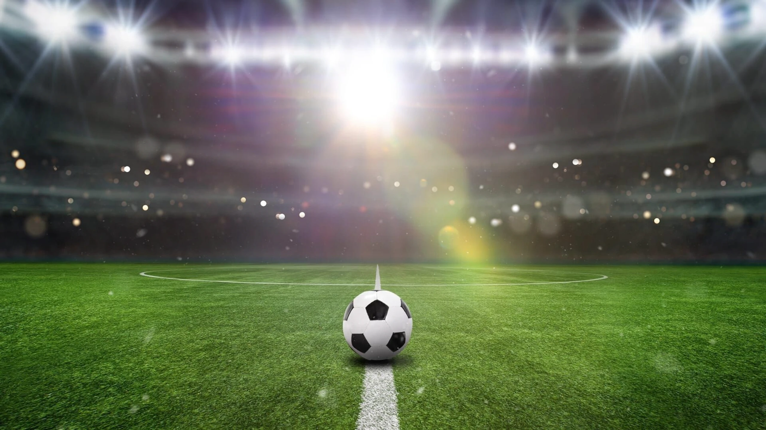 Fußball: Bundesliga