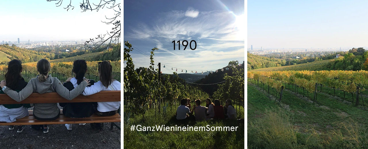 © Anna Gugerell Drei Bilder: Frauen auf Bank mit Wien-Panorama, Gruppe in Weinbergen, Weinberg-Aussicht. #GanzWienin einemSommer
