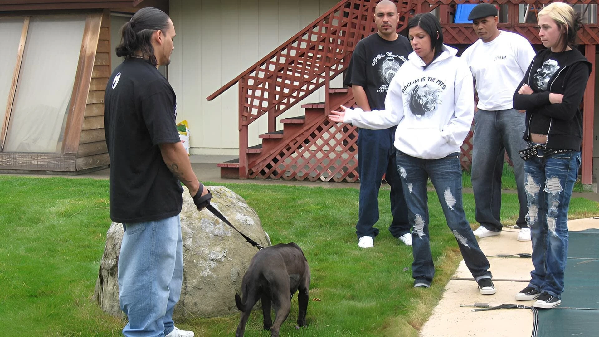 Pitbulls auf Bewährung