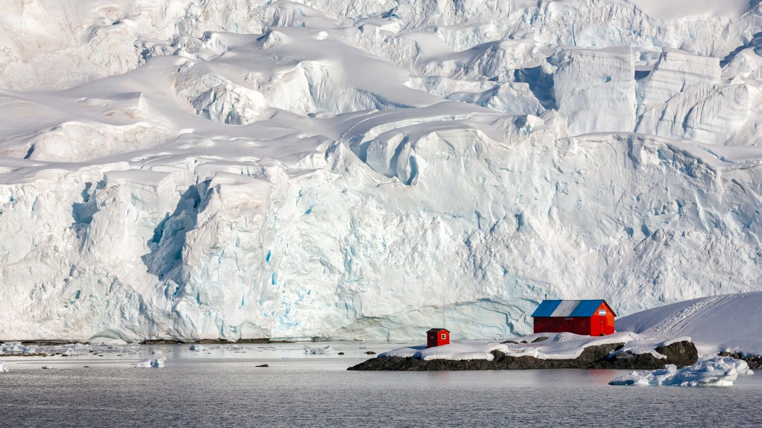 Wunderwelt Pazifik & Wilde Antarktis